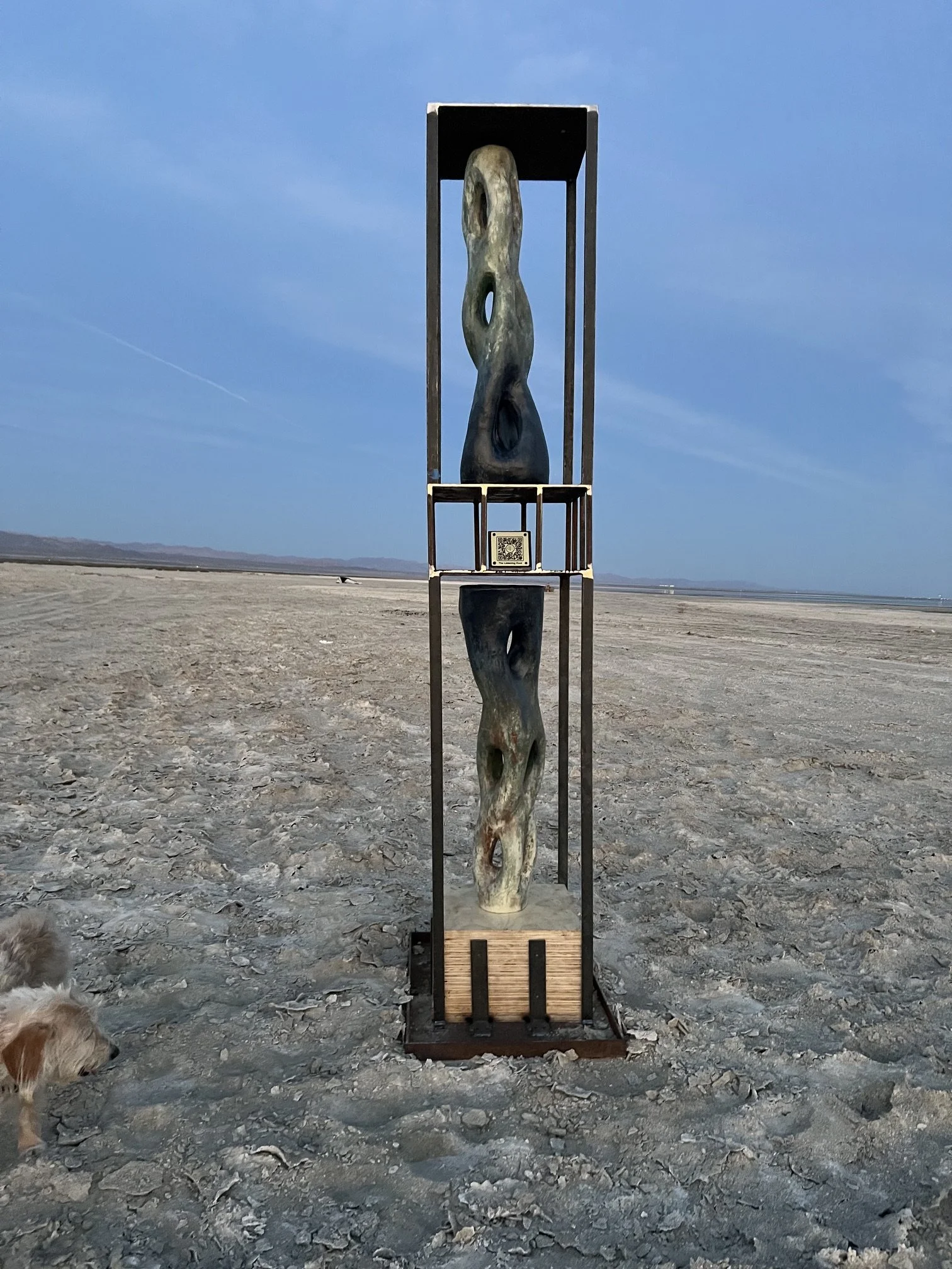 The Listening Root Bombay Beach