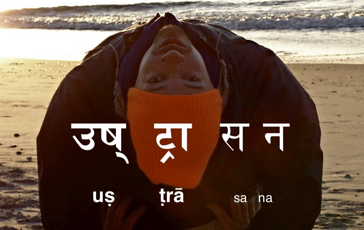 camel pose "uṣṭrāsana"