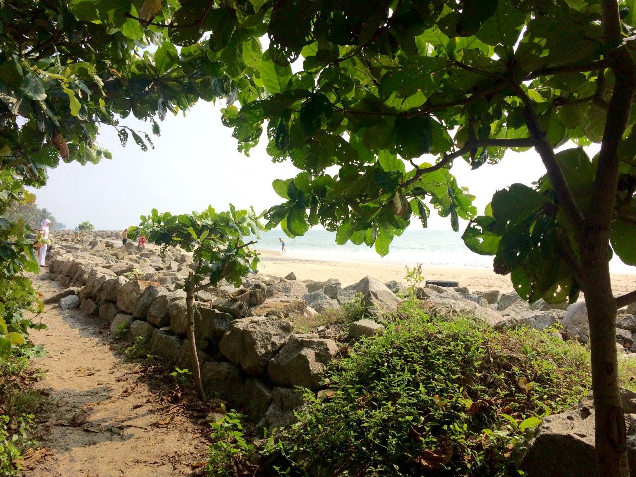 amritapuri beach, south india
