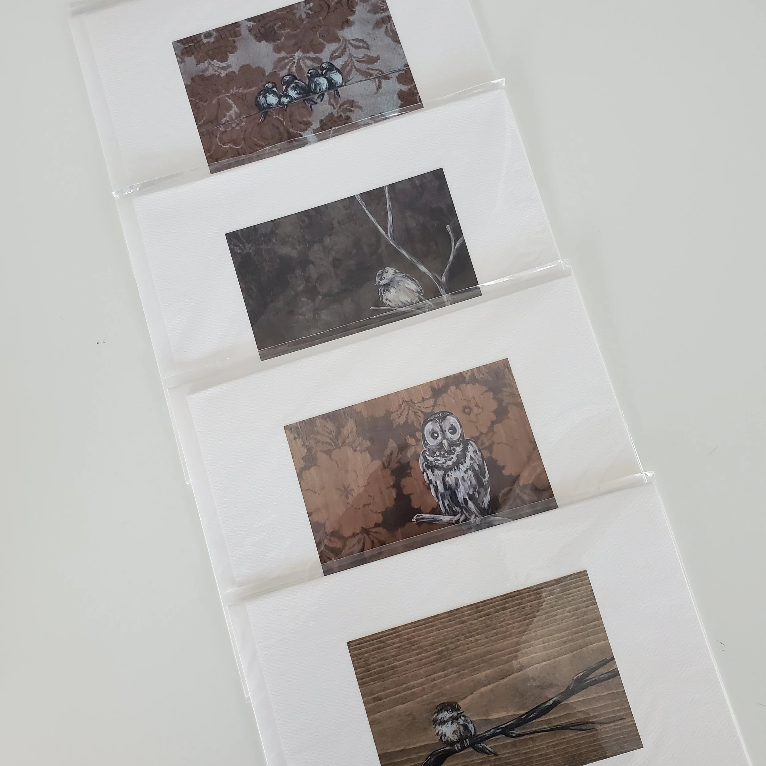 20251002_131335.jpg (Copy)