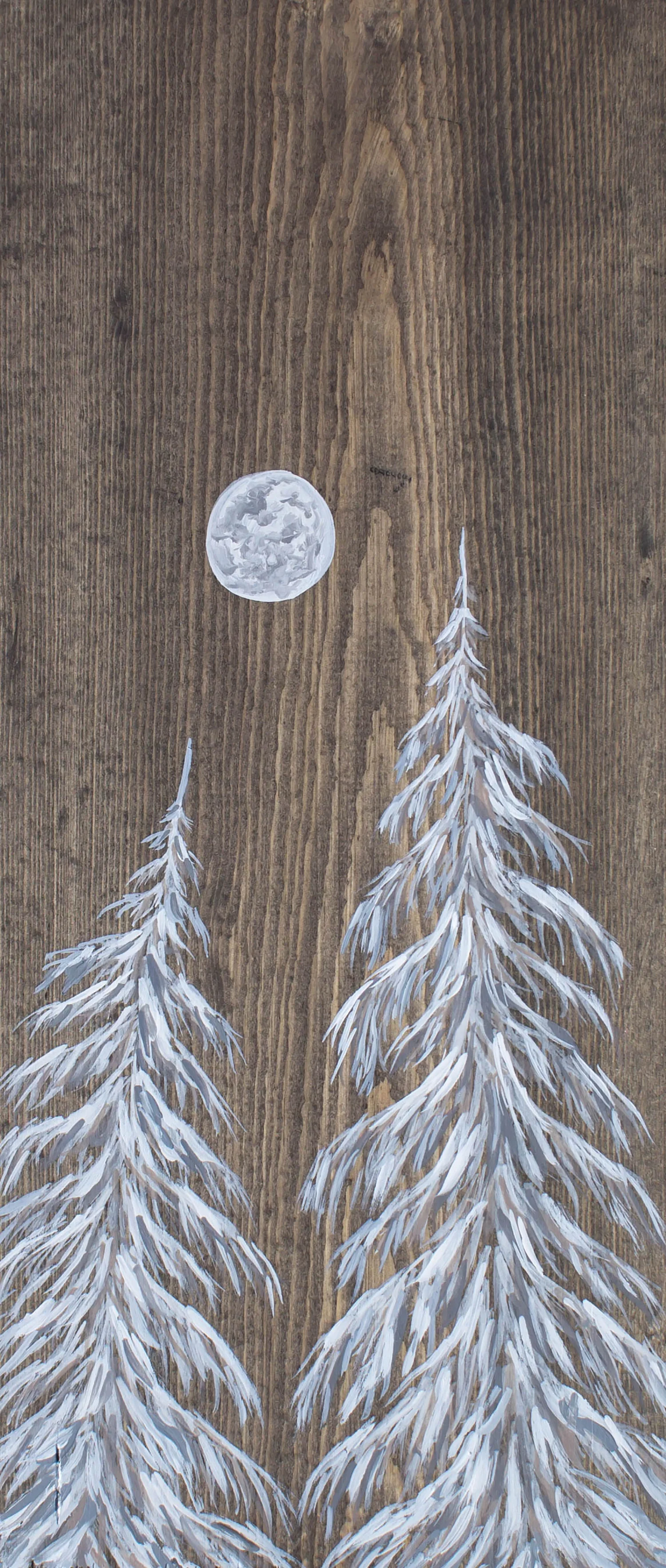 rustic moonlit cedars.jpg
