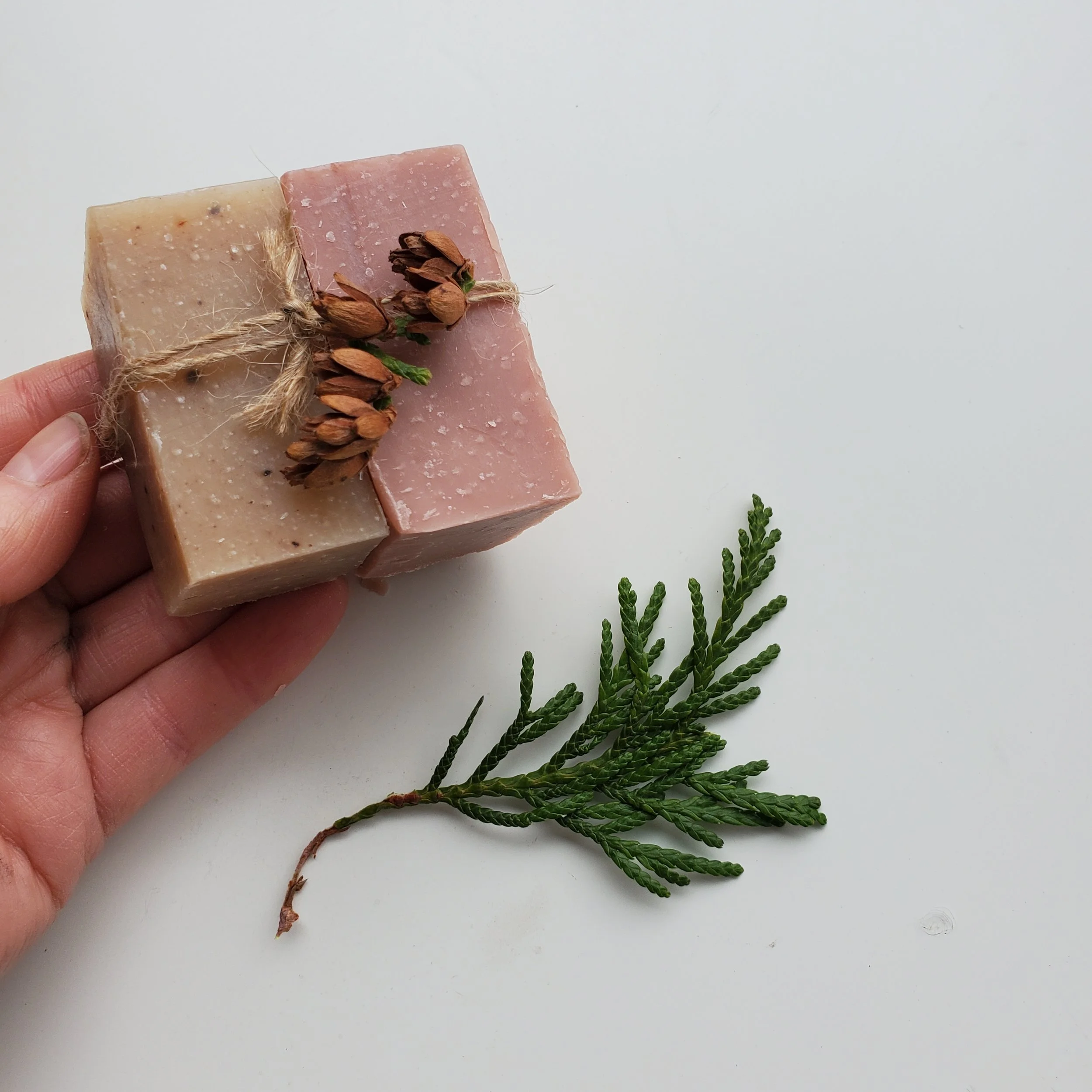 20251113_134823.jpg (Copy)