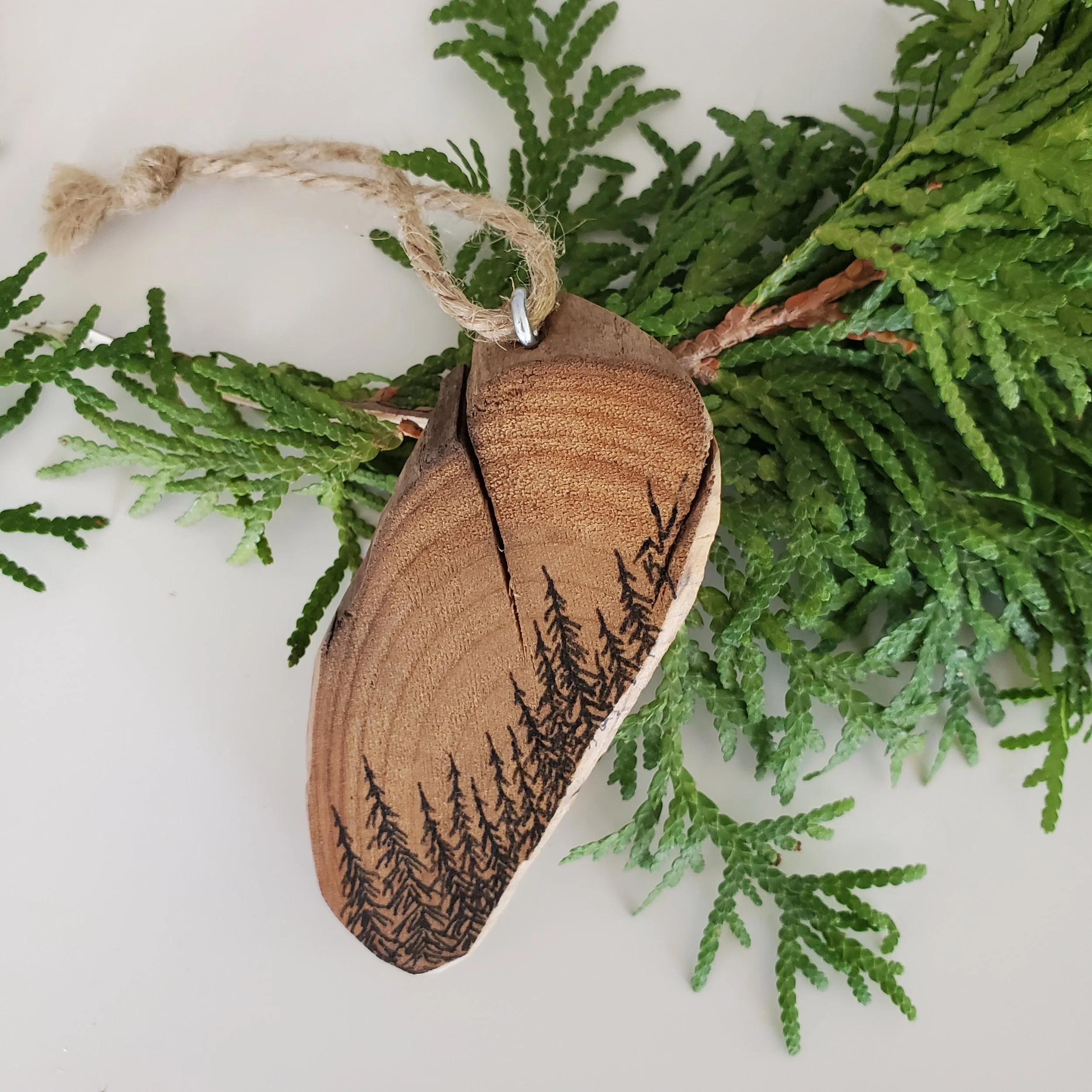 20251002_123927.jpg (Copy)