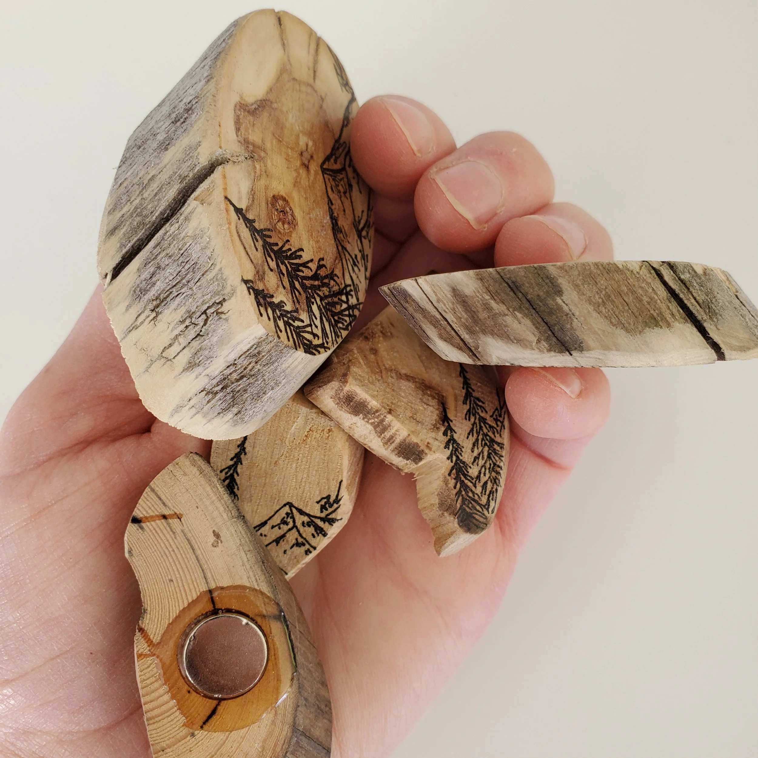 20251002_112342.jpg (Copy)