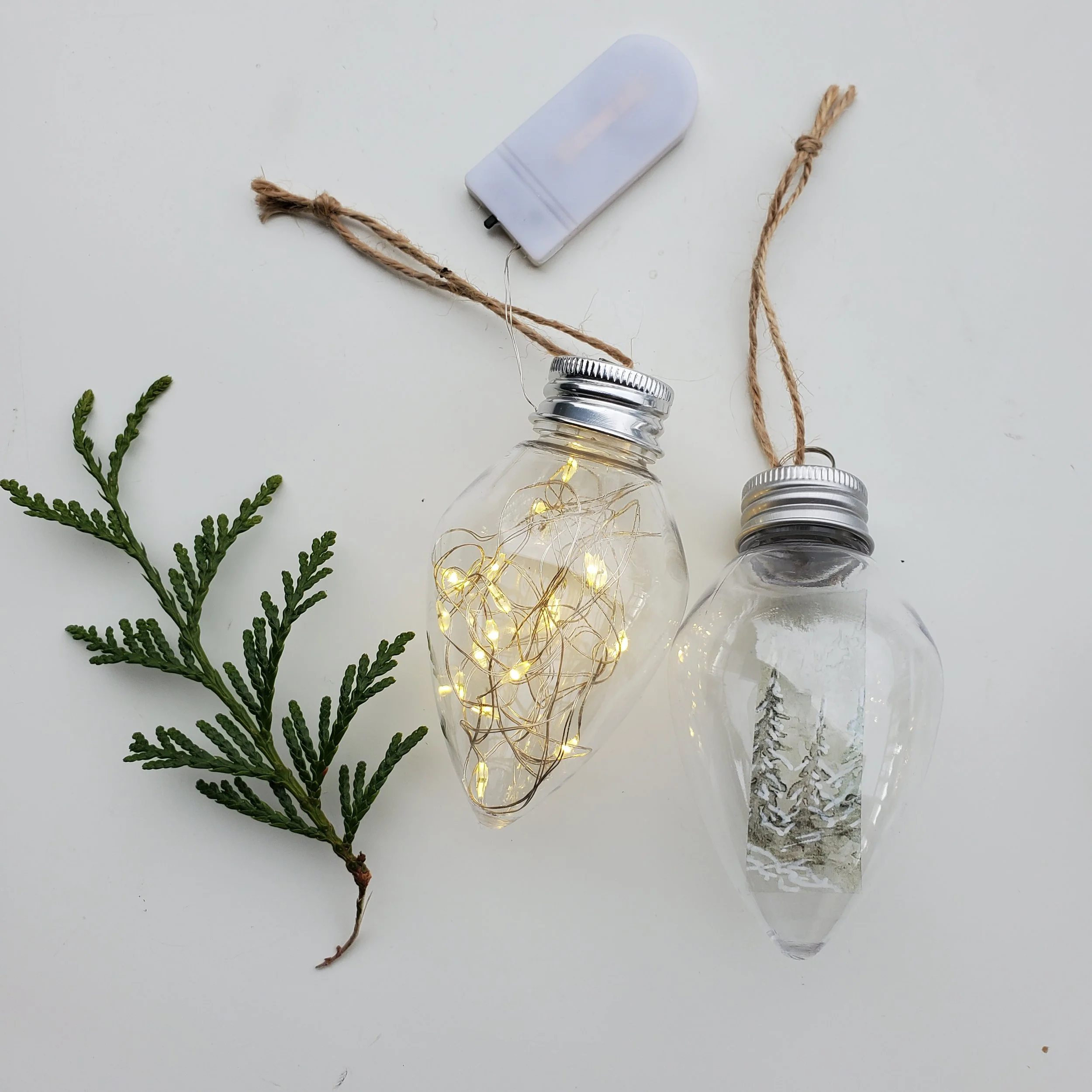 20251106_135047.jpg (Copy)