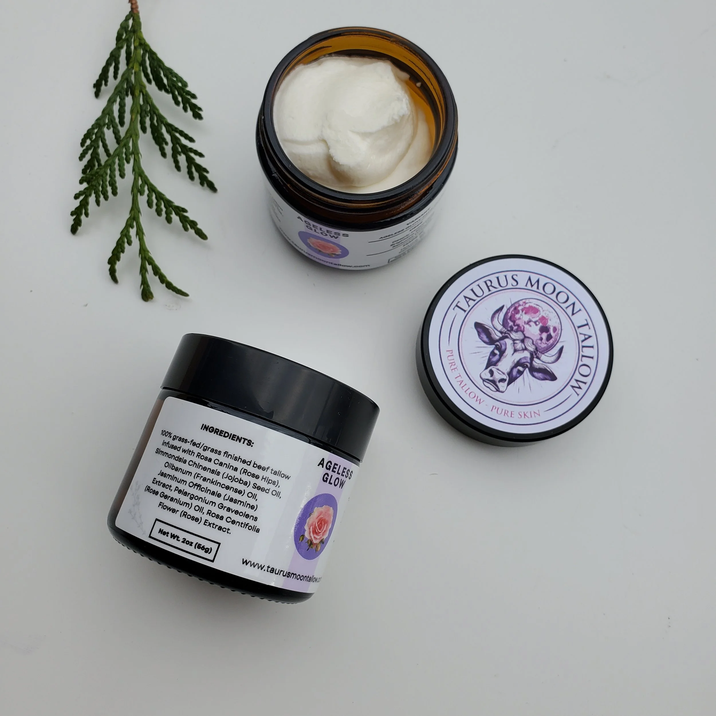 20251106_130031.jpg (Copy)