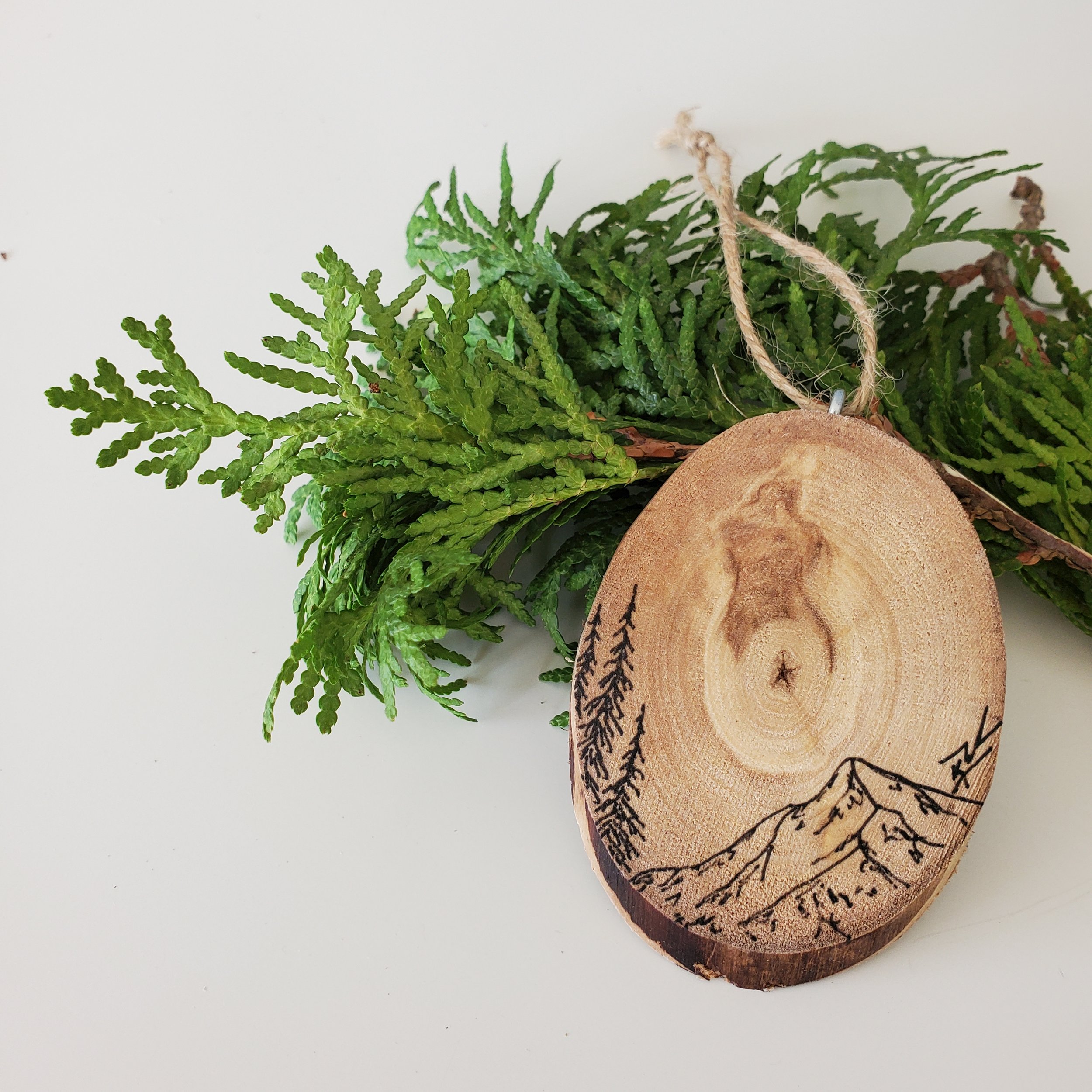 20251002_115452.jpg (Copy)