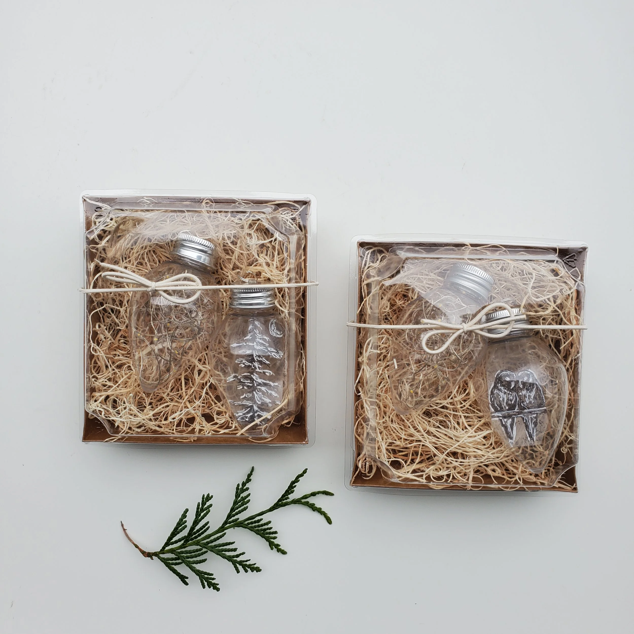 20251106_134308.jpg (Copy)