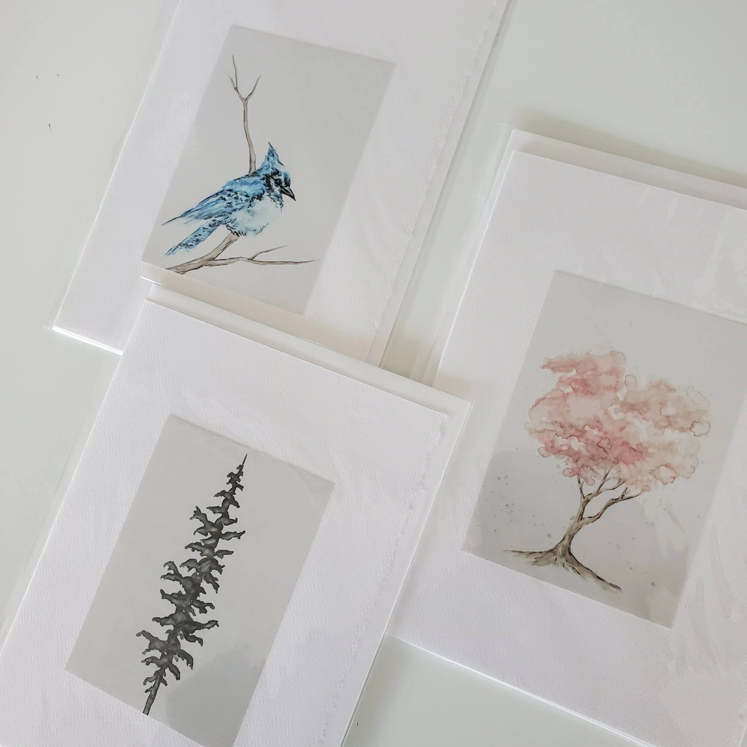 20251002_132325.jpg (Copy) (Copy)