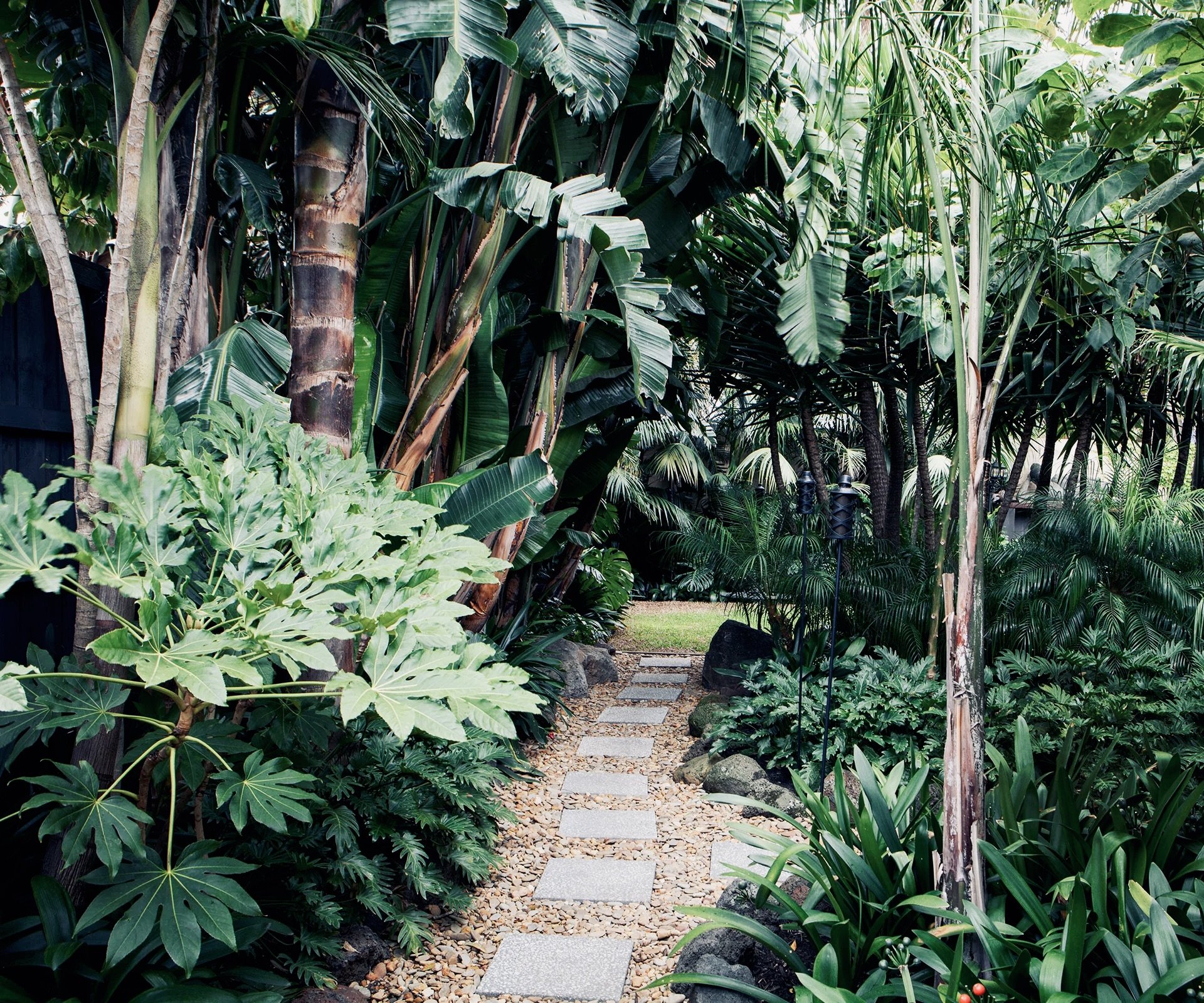 tropical-garden-plants.jpg.jpeg