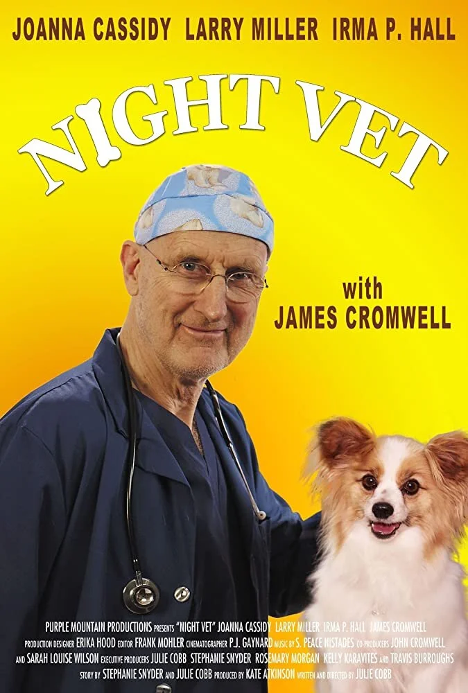 NIGHT VET