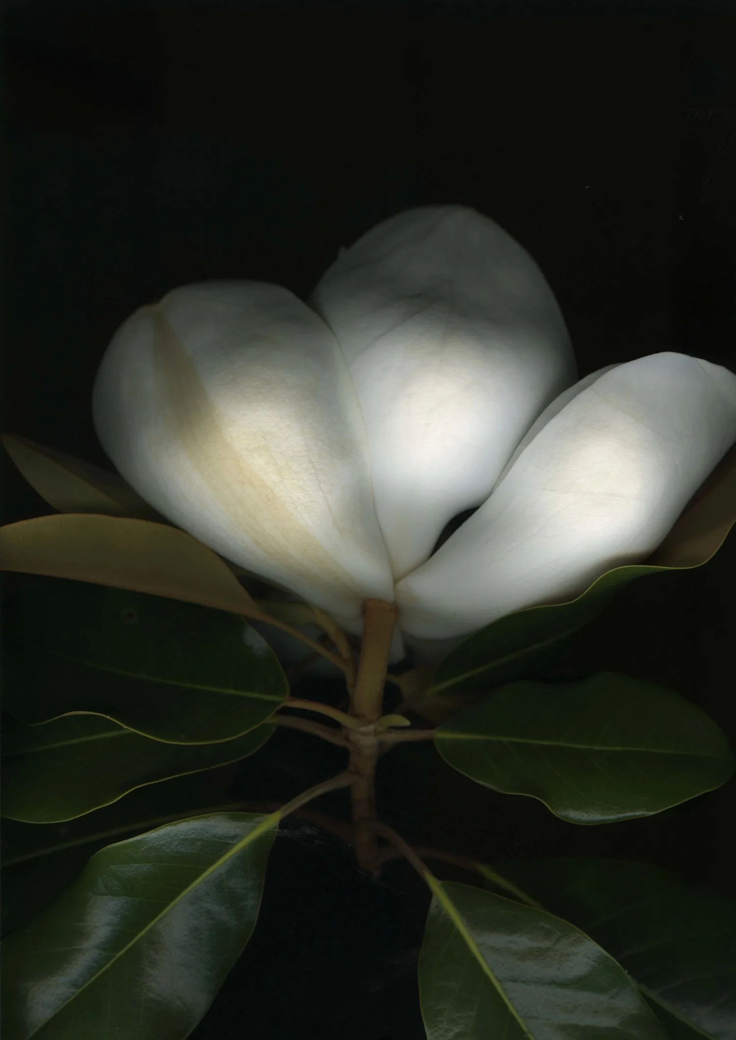 Let's make a list: What has been done between January and September 2015?