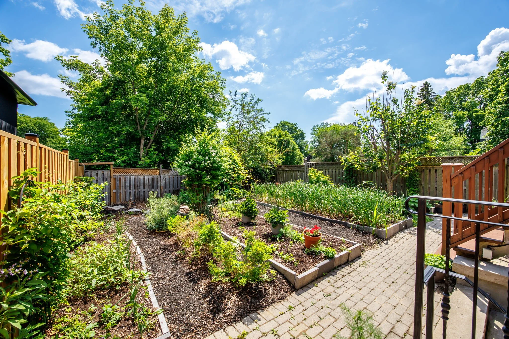 039 - 1113B Islington Ave, Toronto, ON.JPG