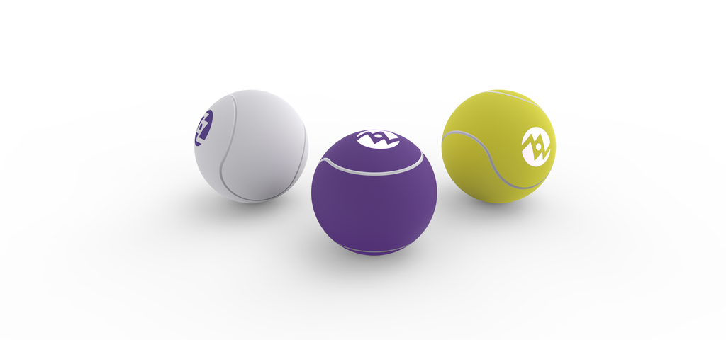 6 - ZoZballs.png