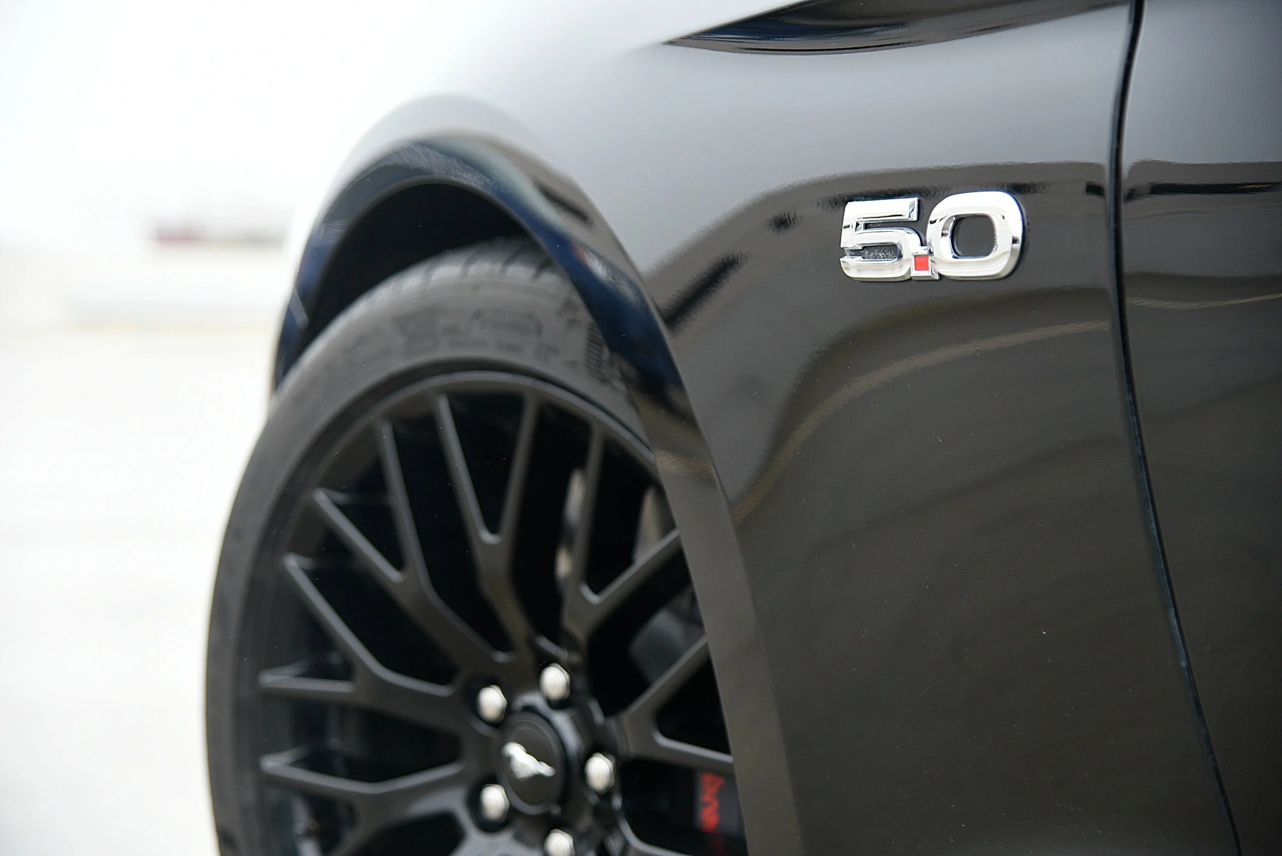 Mustang-5.jpg