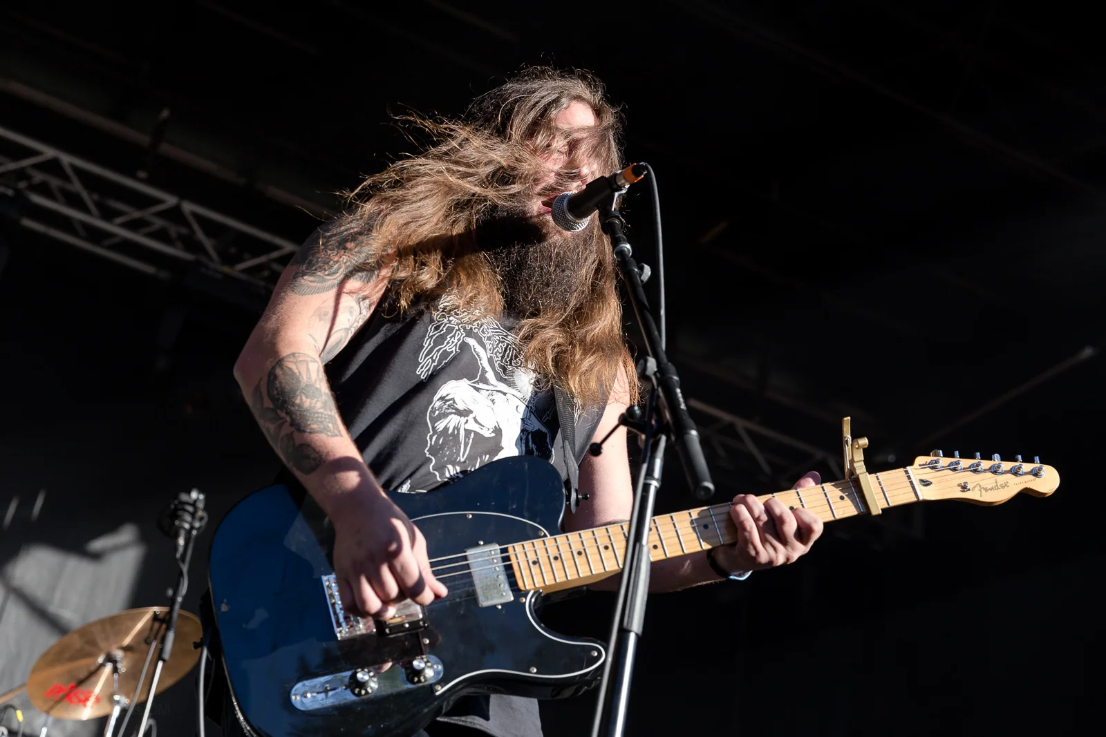 Strand of Oaks at LouFest