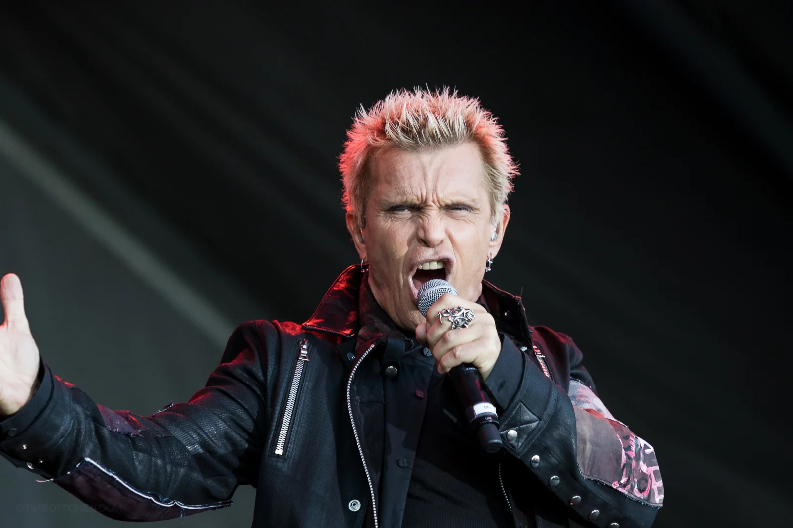Billy Idol at LouFest