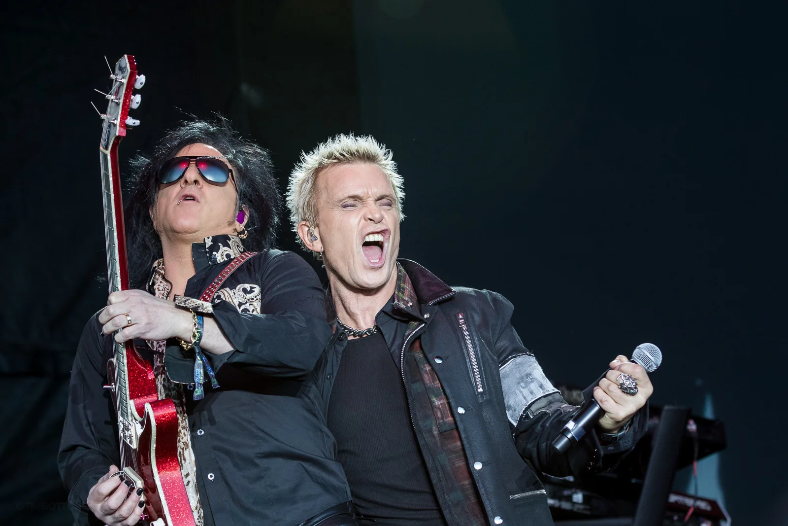 Billy Idol at LouFest
