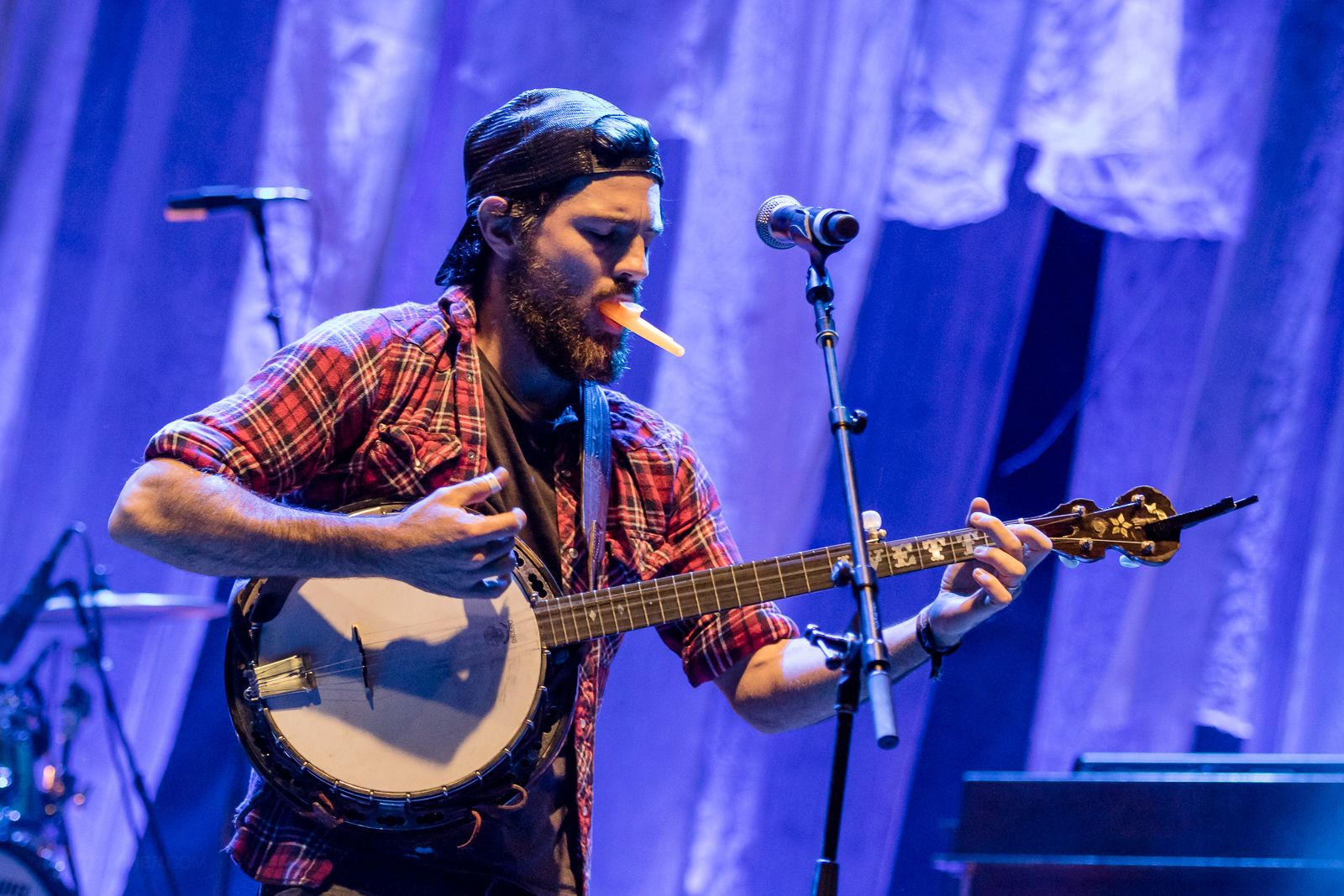 The Avett Brothers at LouFest
