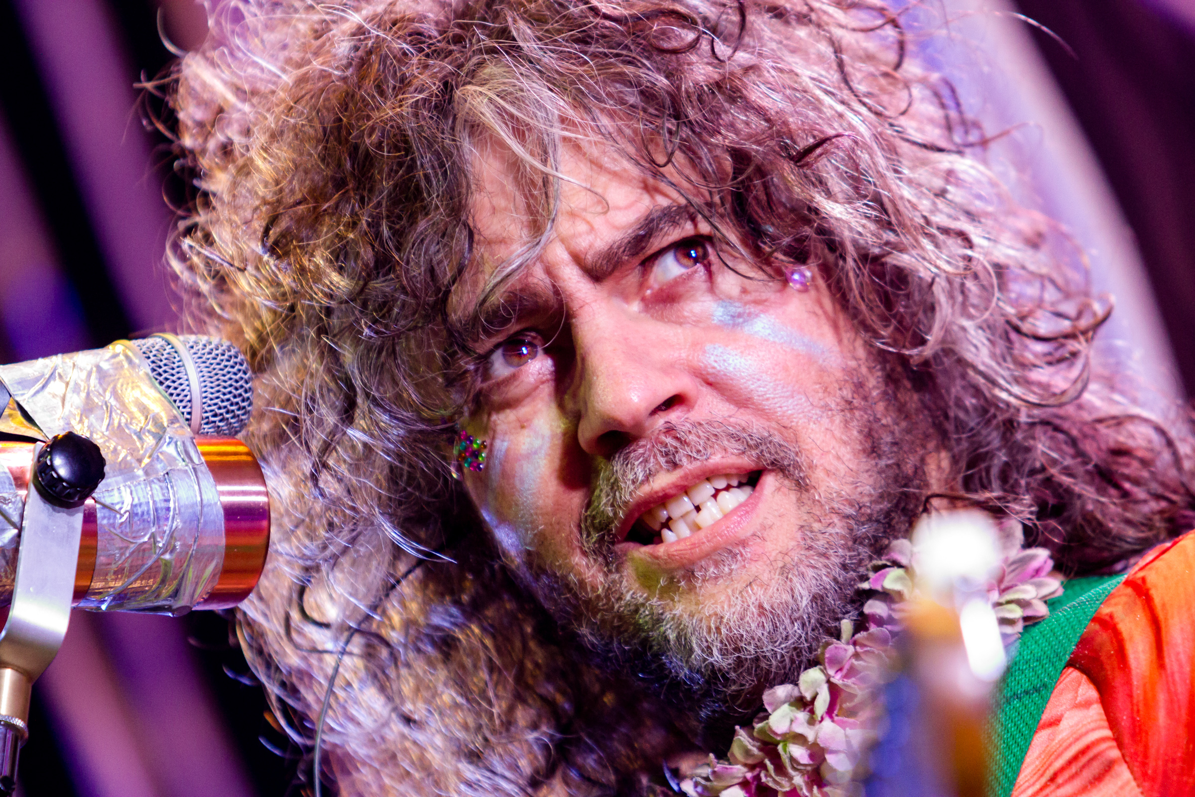 The Flaming Lips