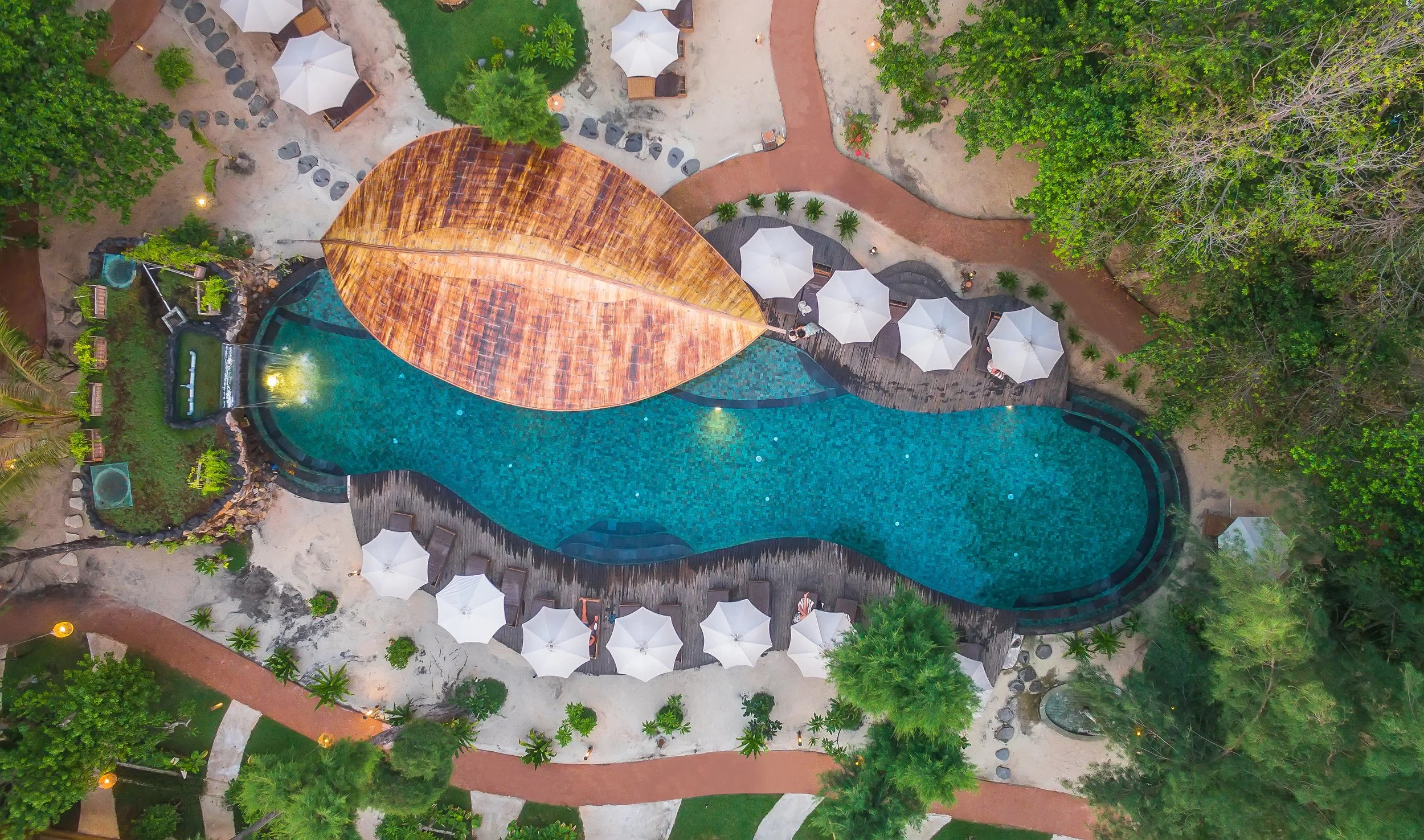 Pool Area eagle Eye1.jpg