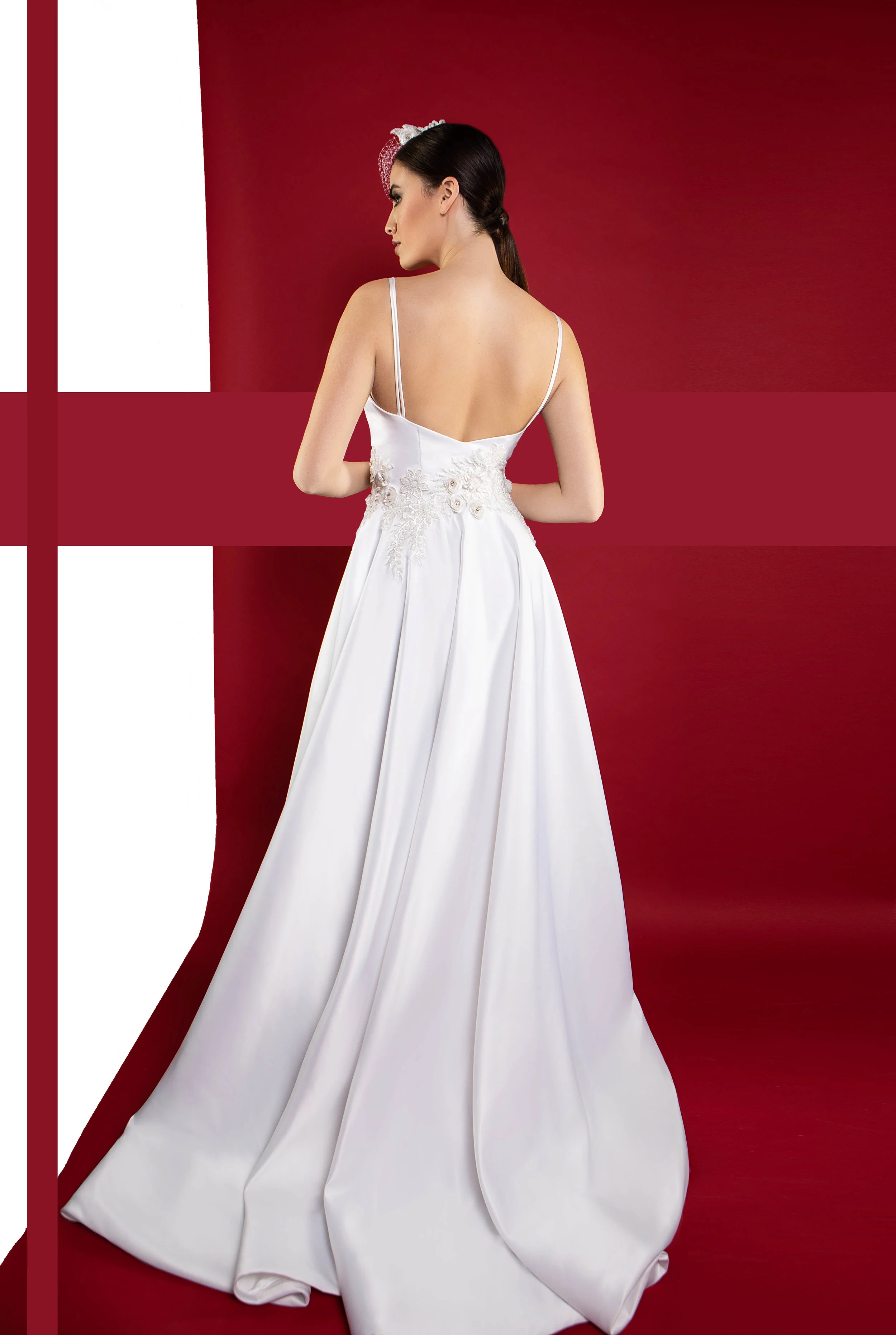 ball_gown_wedding_dress_back_view_tabitha_fielteau