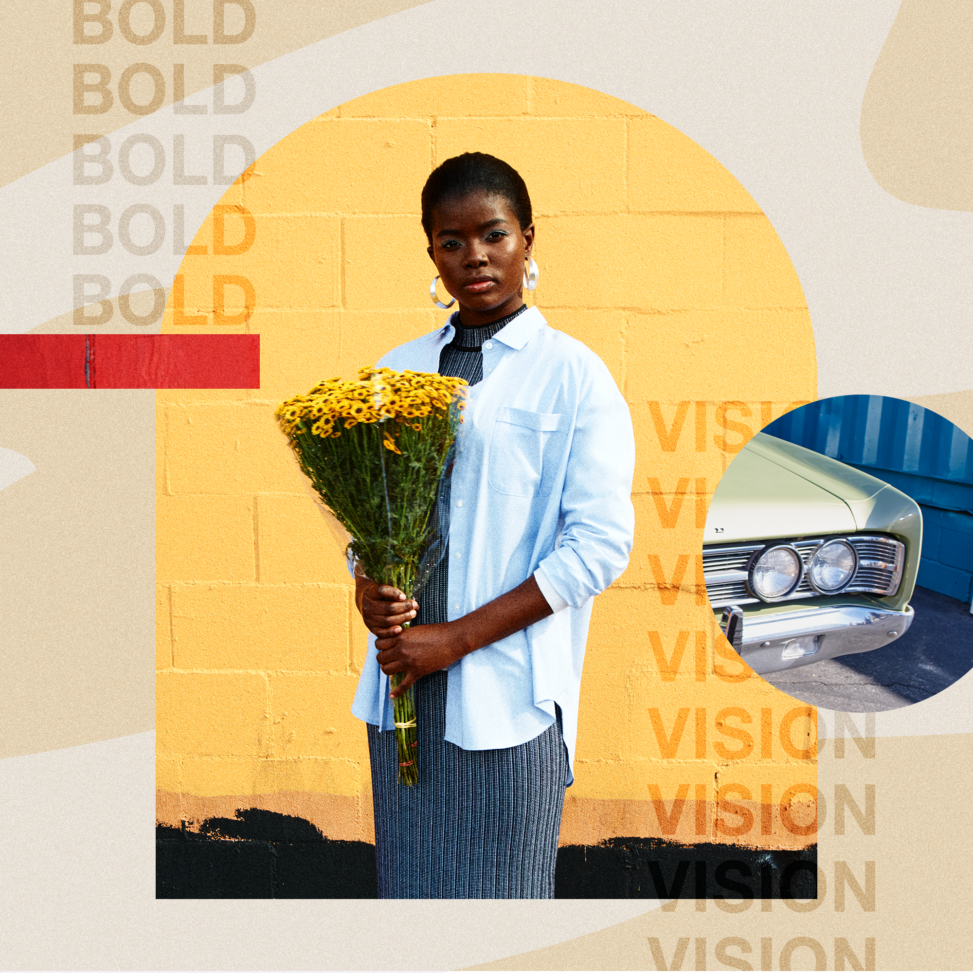 TN IG-BOLD VISION.png