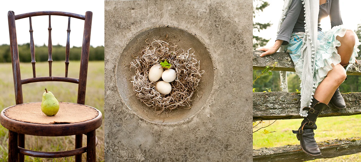 12nest1.jpg