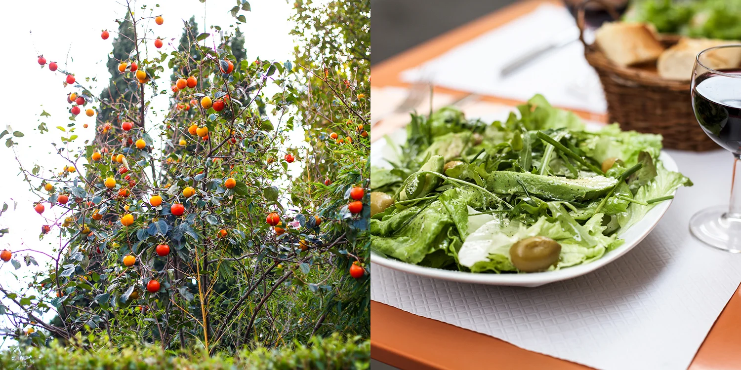 20salad.jpg