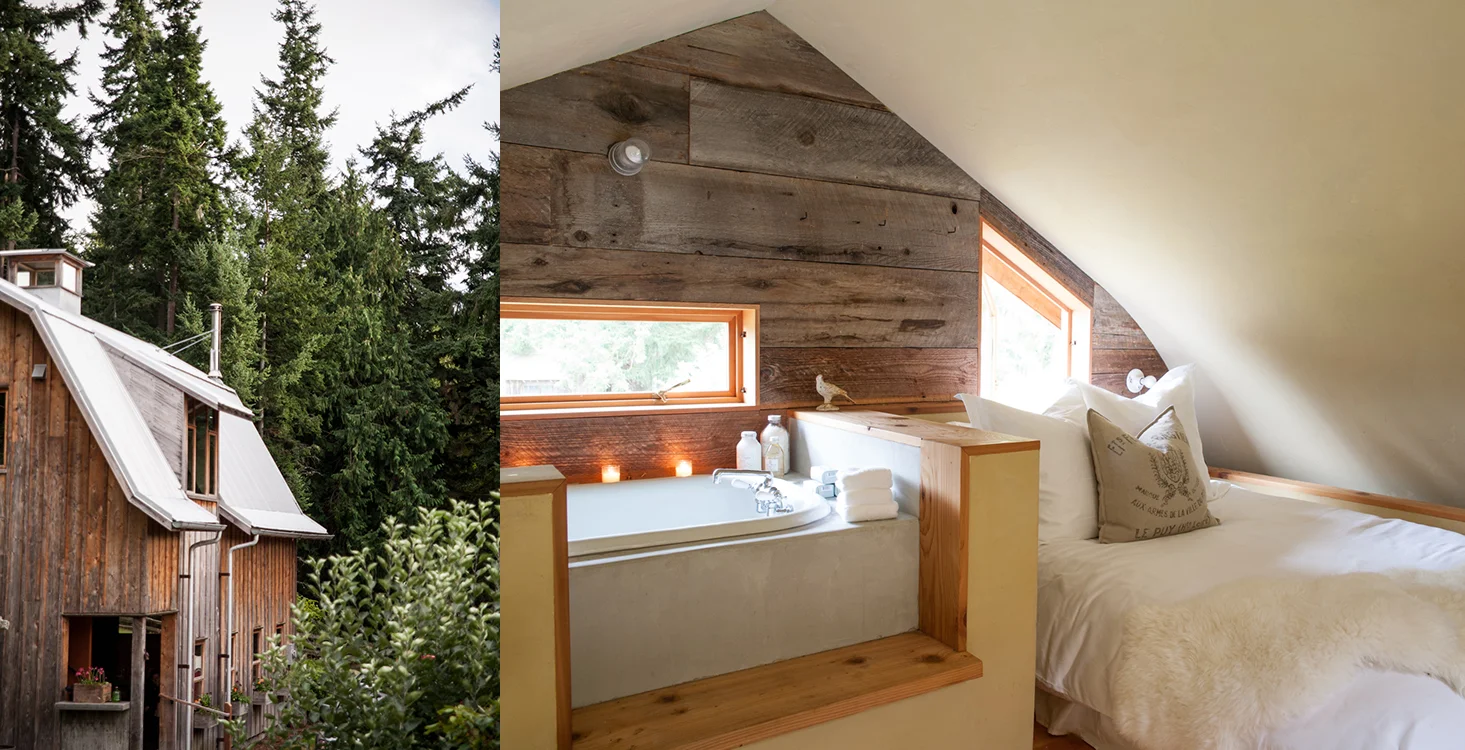 12nest_barn9.jpg