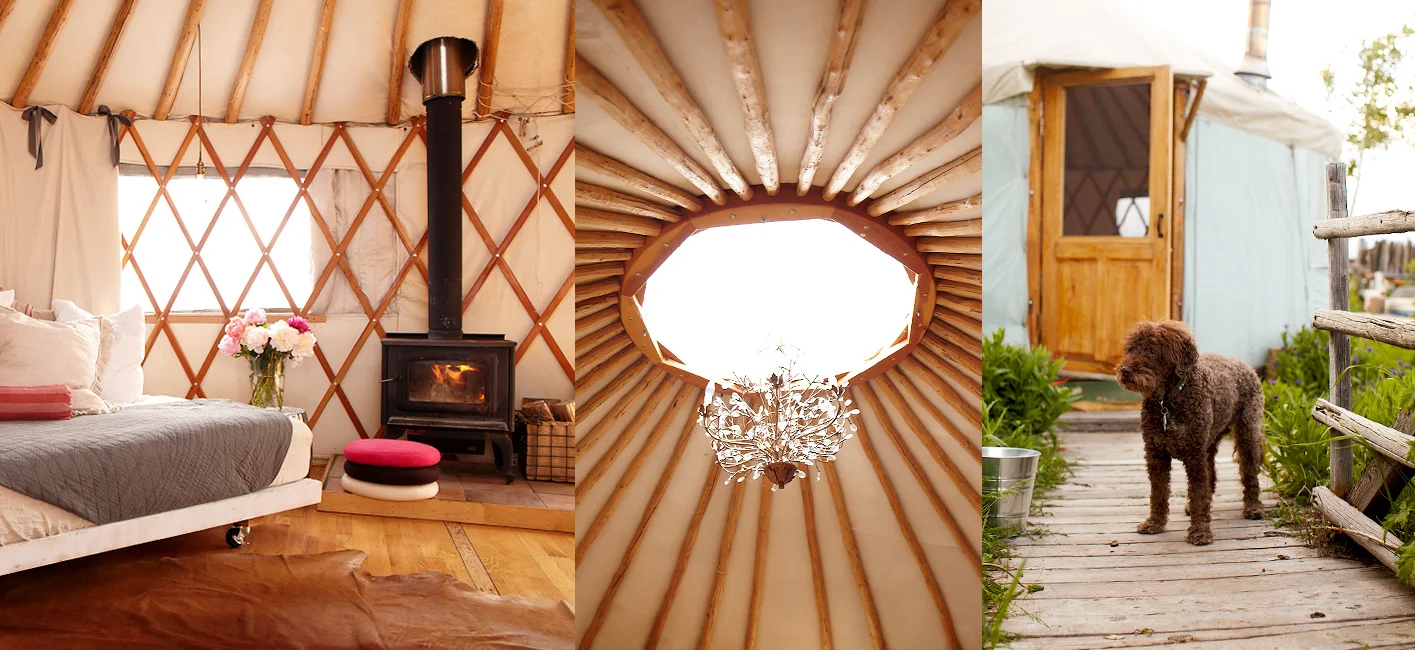 20prettyyurt4.jpg
