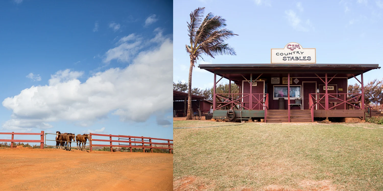 kauai1.jpg