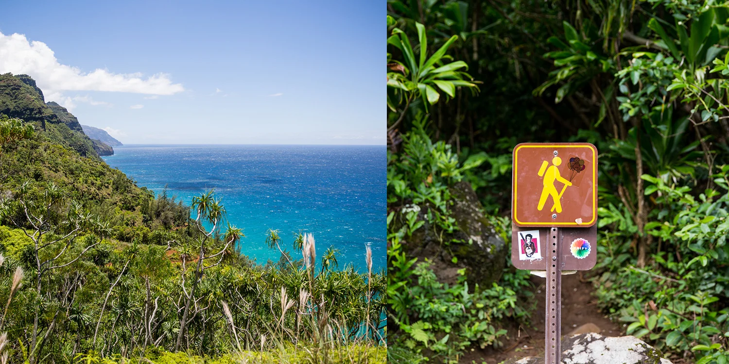 kauai11.jpg