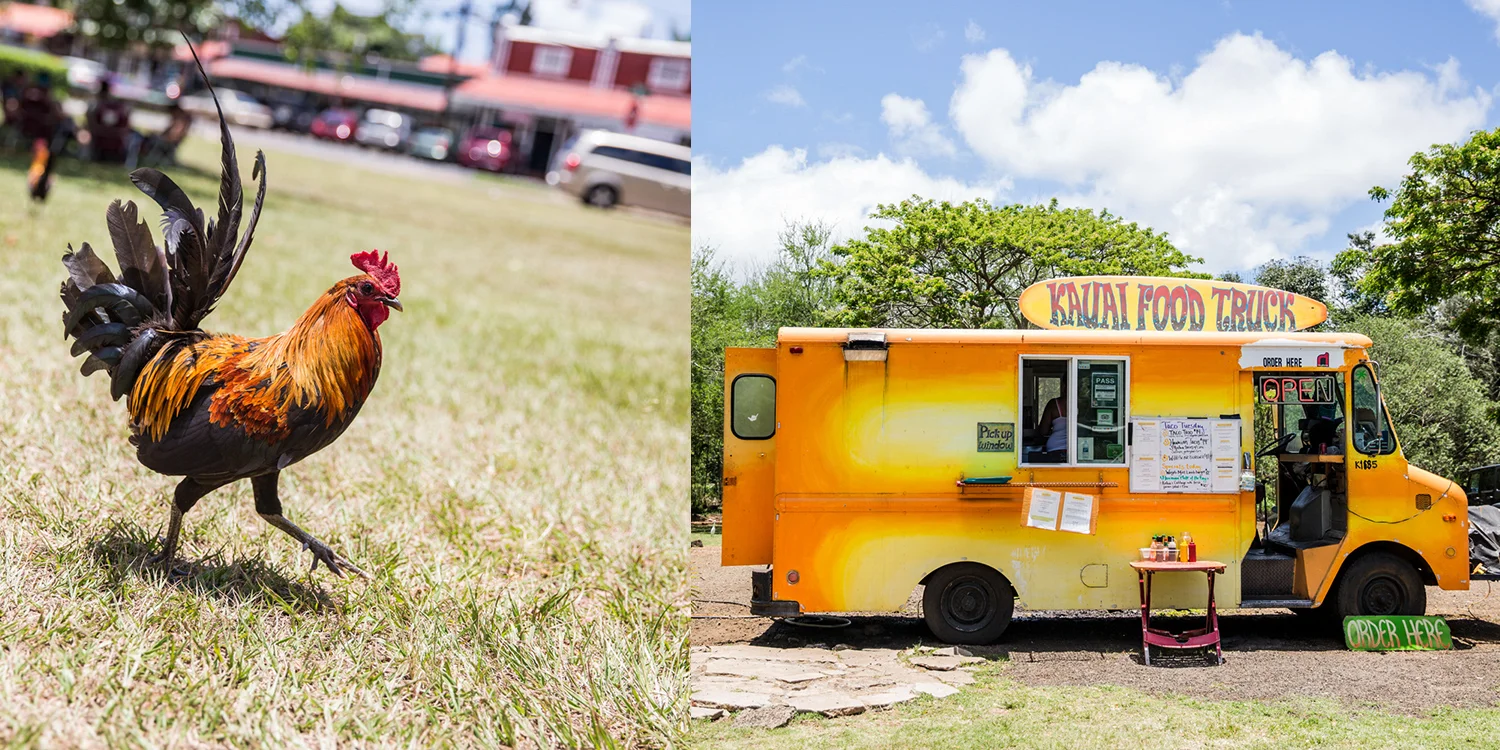 kauai18.jpg