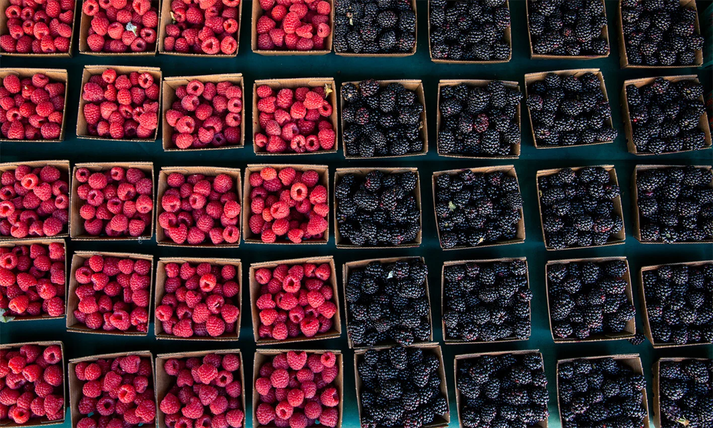 berries.jpg