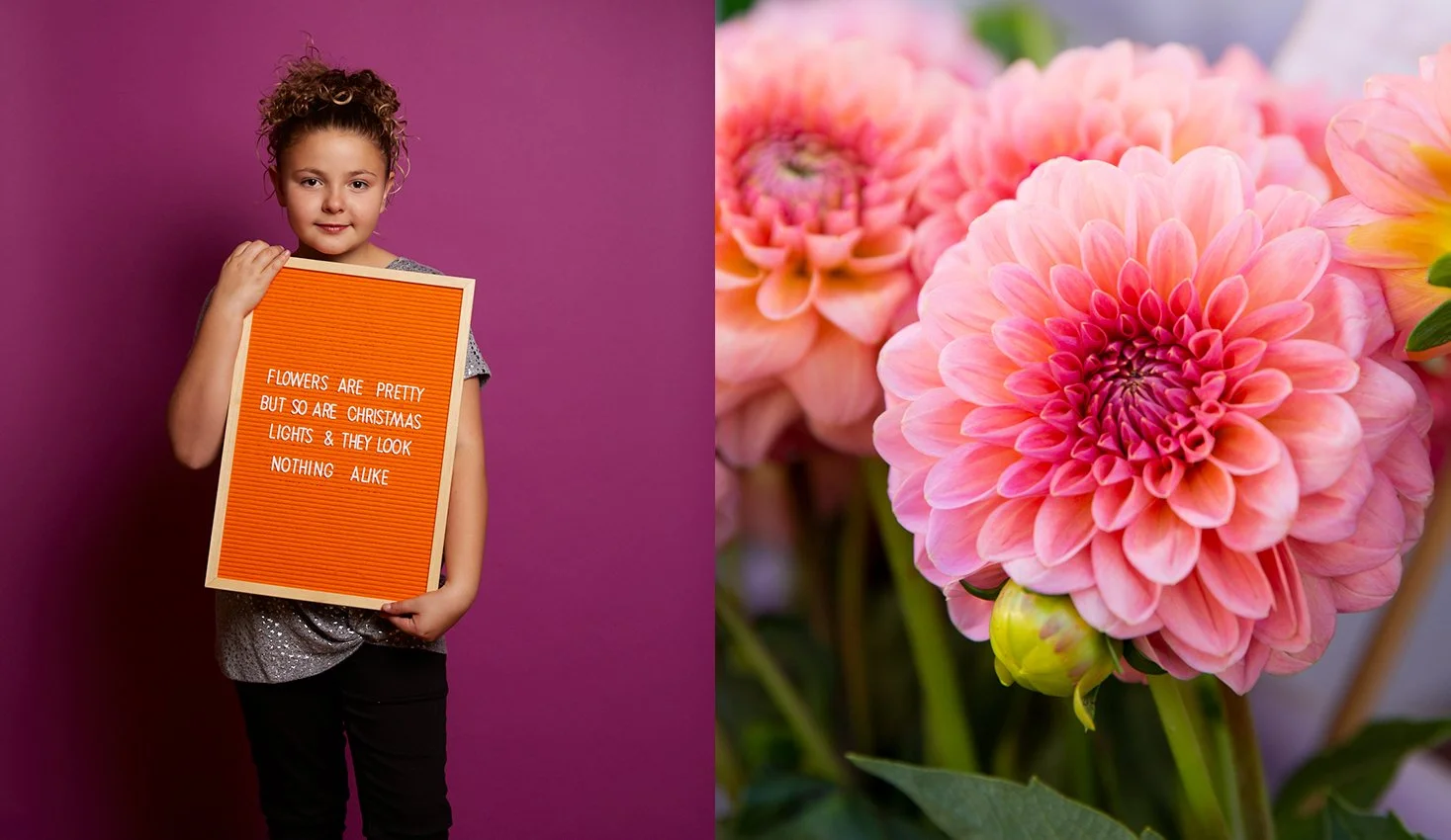 andie_flower.jpg