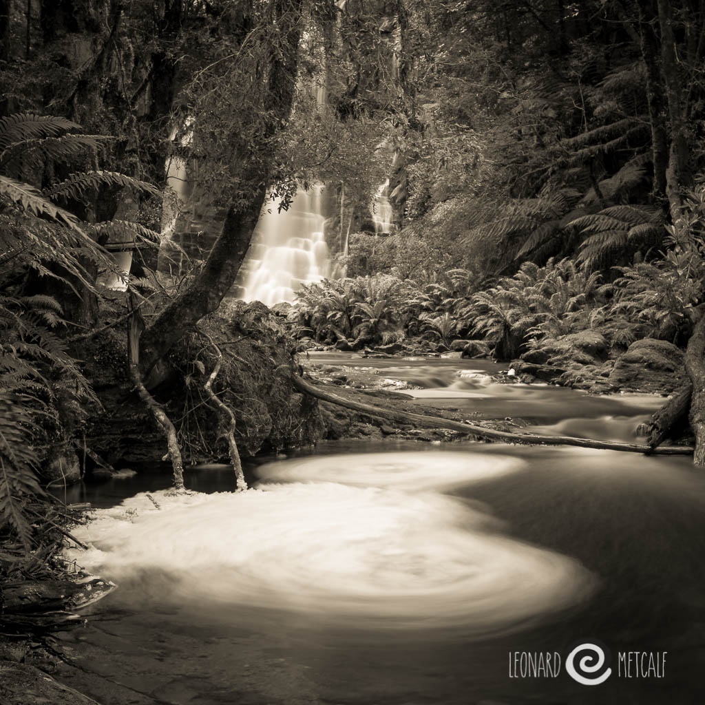 Tarkine, Tasmania @ Leonard Metcalf 2014