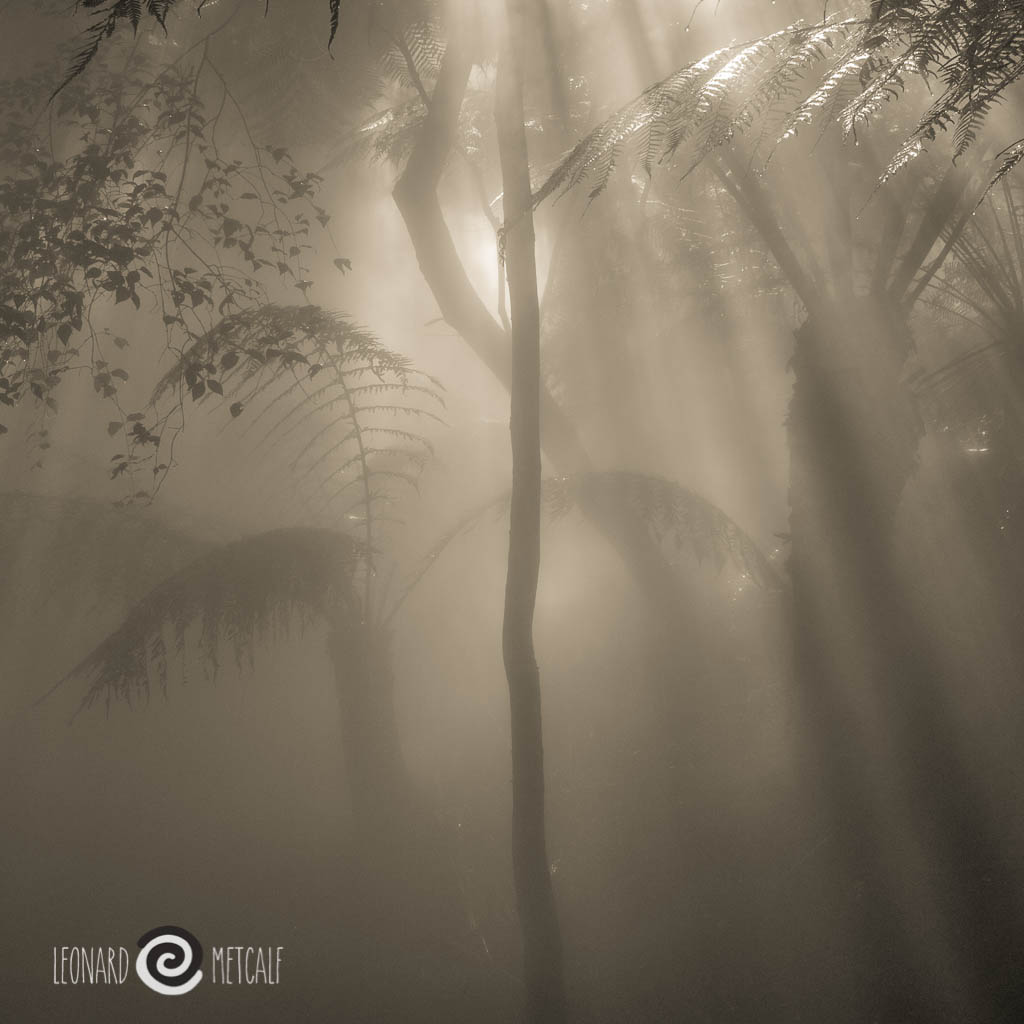 Australian landscape photographers