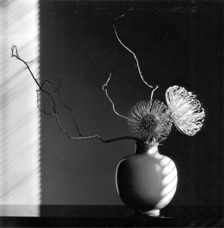 mapplethorpe_flower-arrangment-1986.jpg