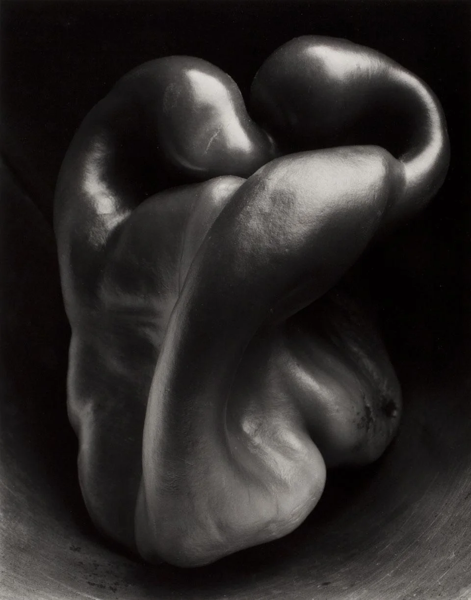 Pepper No. 30 Edward Weston 1930