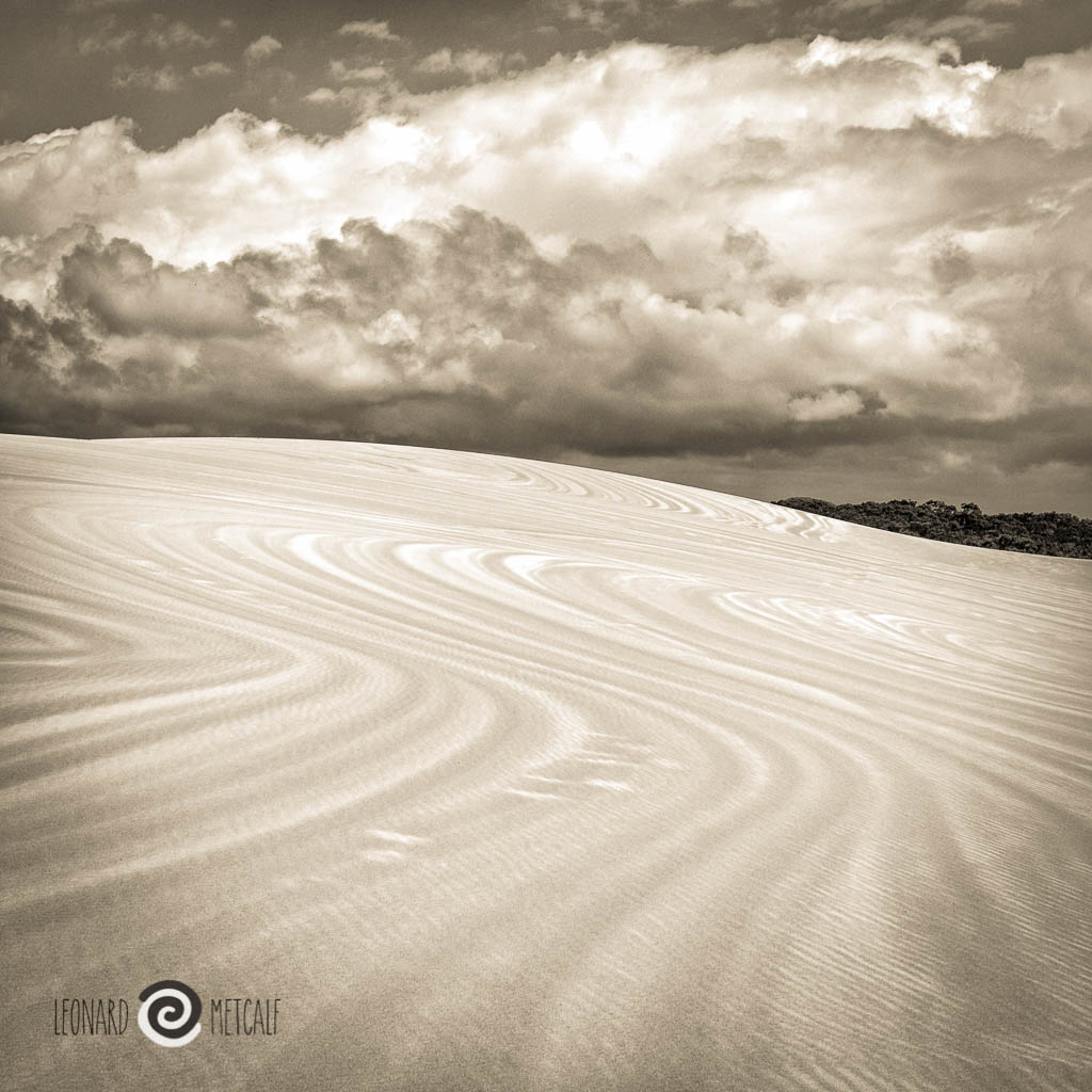 Myall Lakes sand dunes © Leonard Metcalf 2015