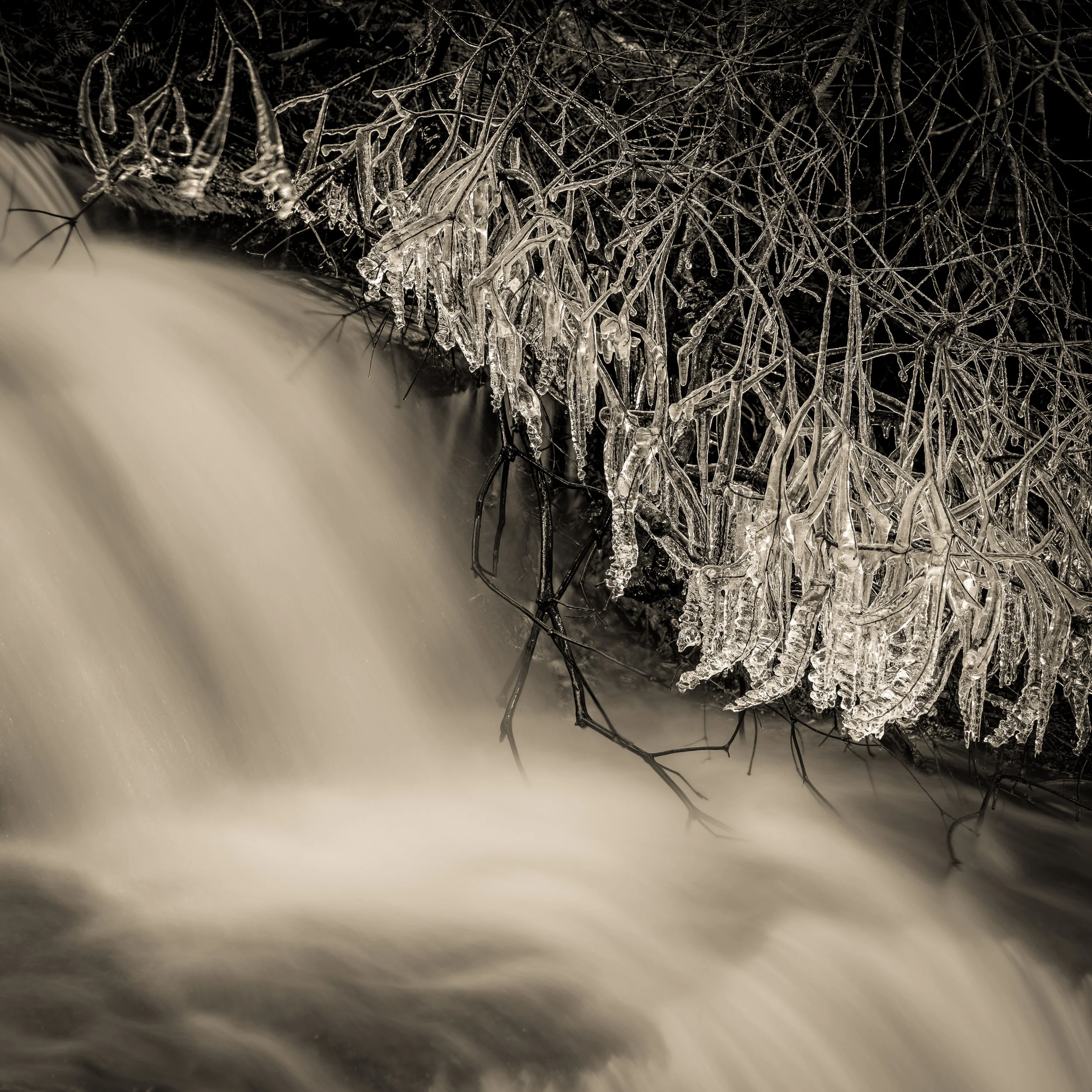 Mini Ha Ha after a heavy frost, Katoomba. Copyright © Len Metcalf 2017