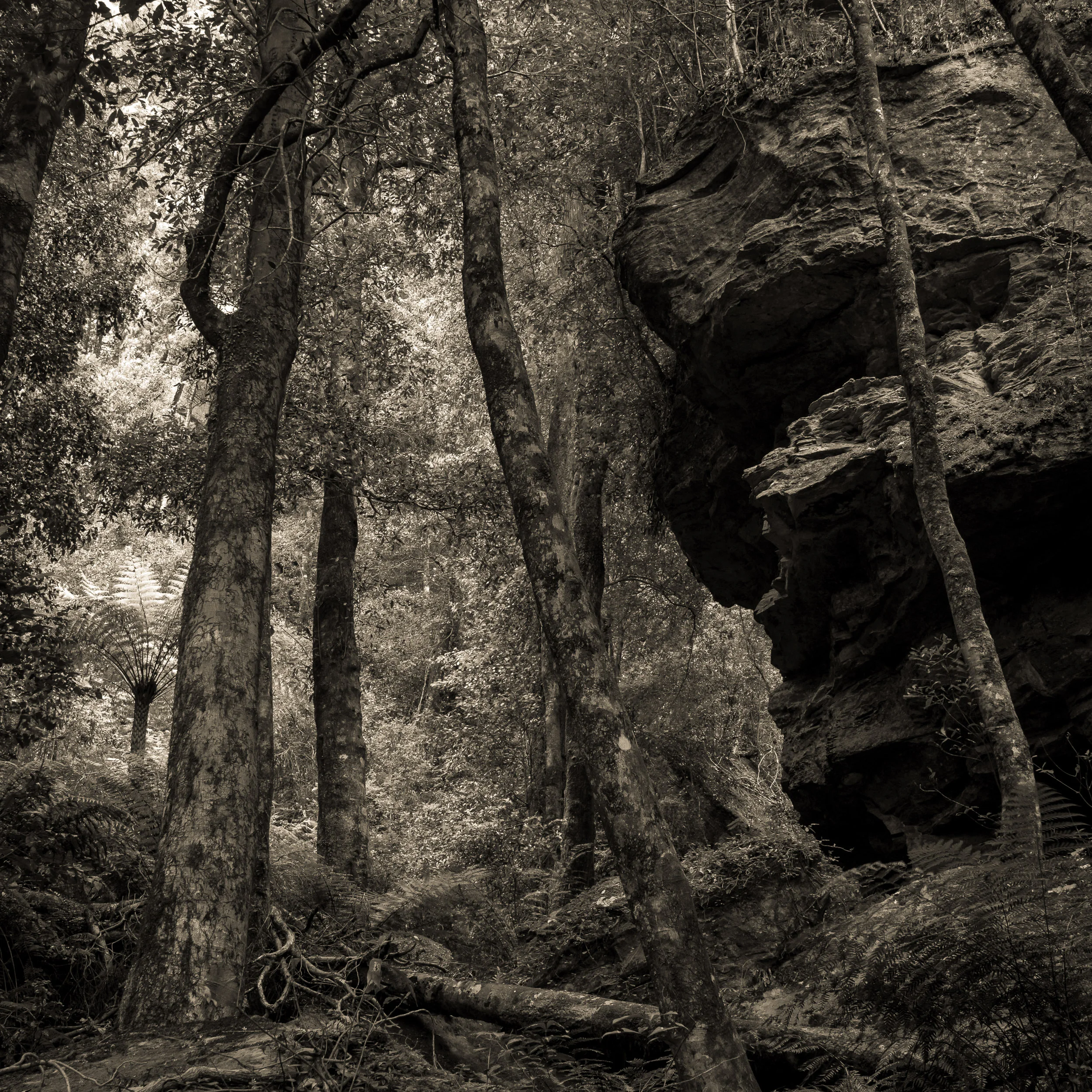 P2051342-2.jpg