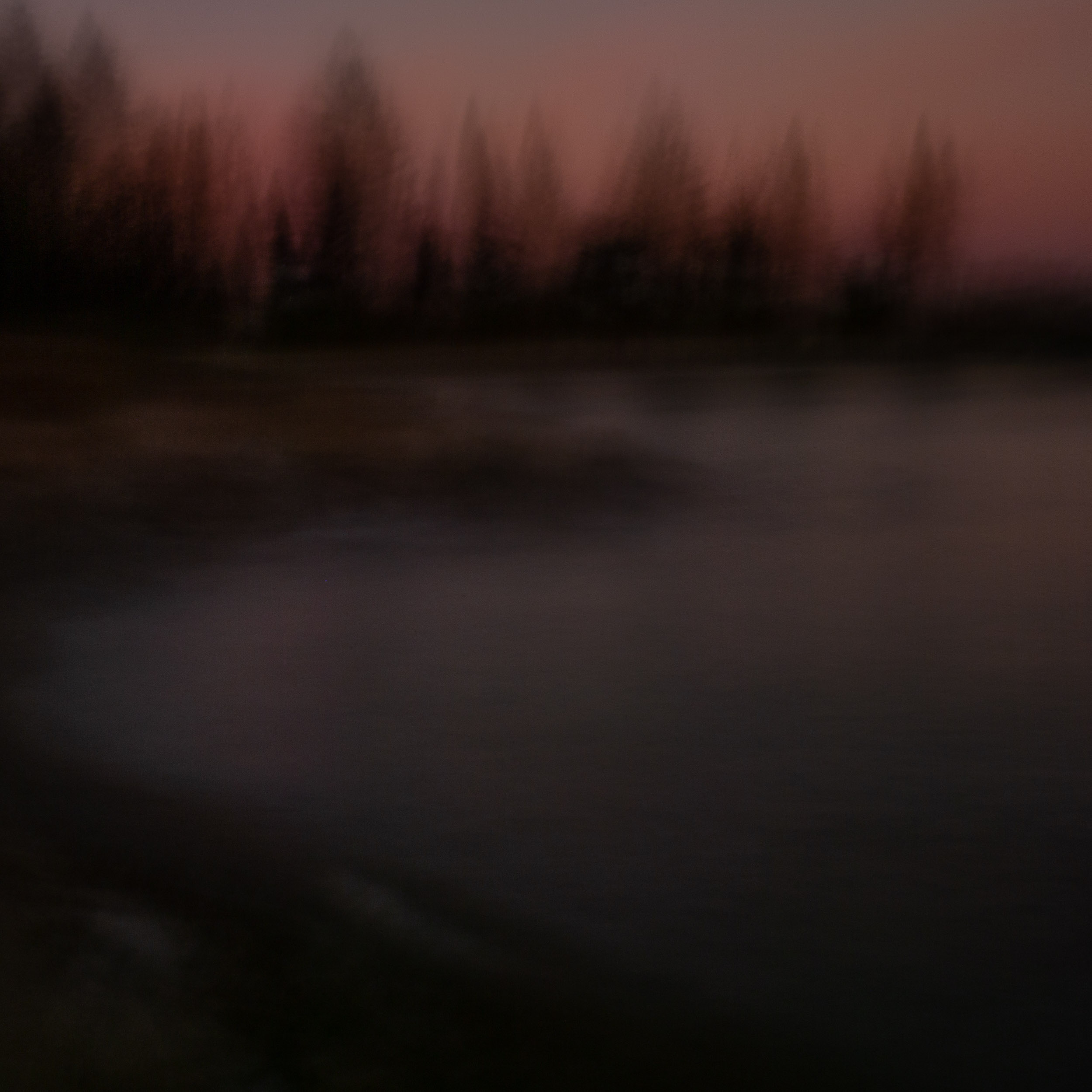 _8010211.jpg