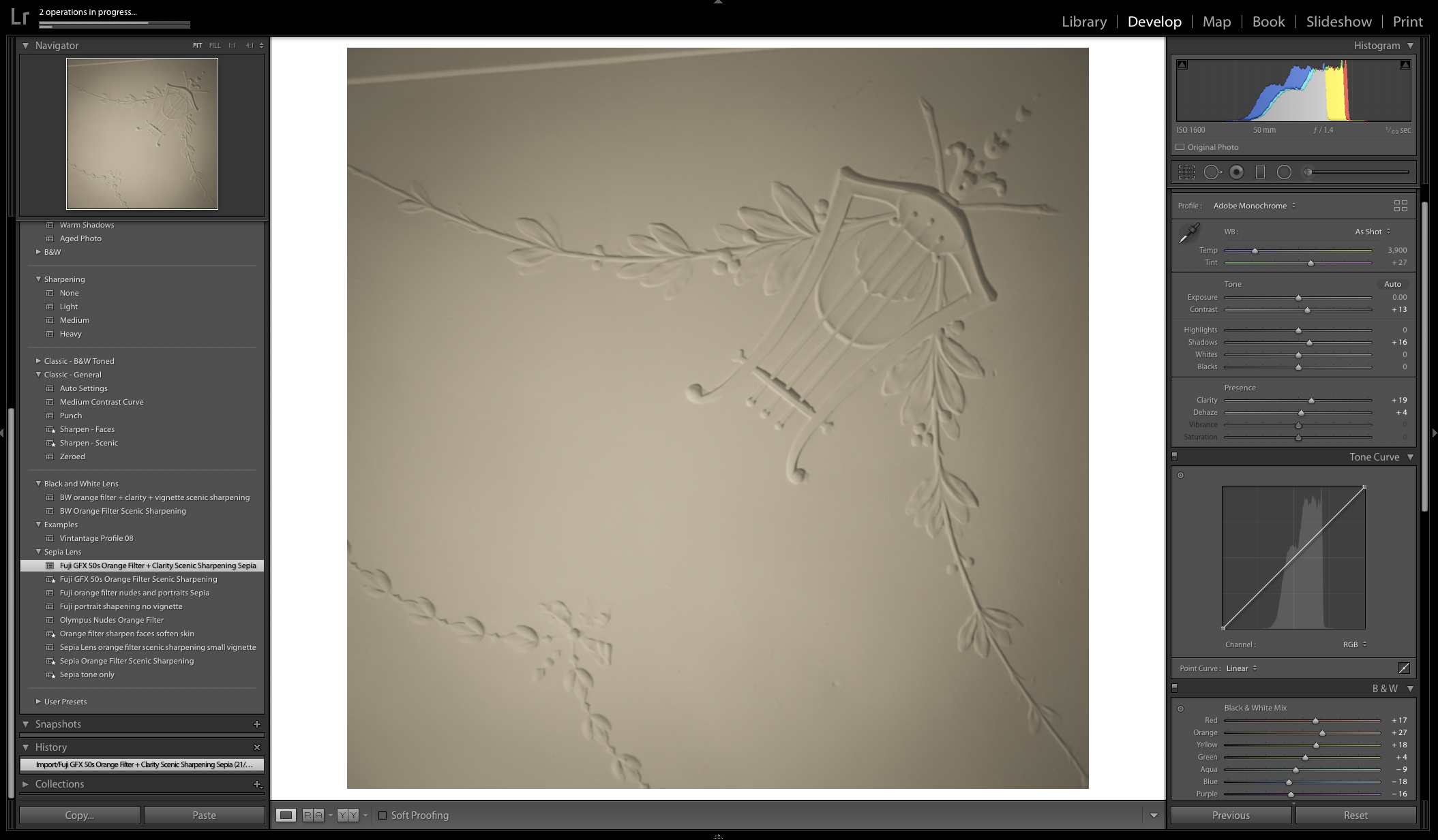 A photograph of my ceiling, white plaster with only the shadows, from natural subdued lighting. Ready to play with. Showing how to create an image with a short histogram.