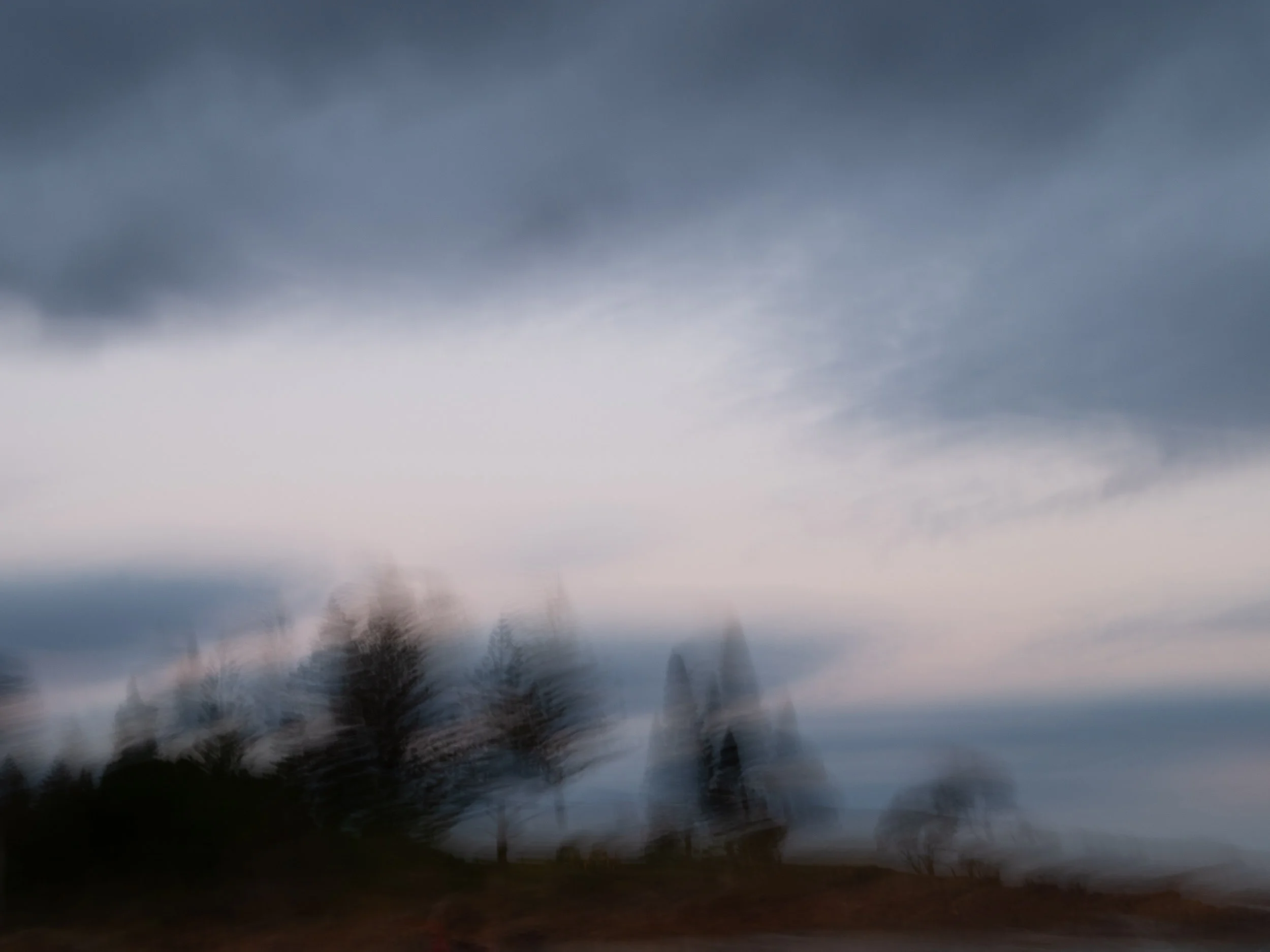 Pines at South West Rocks, a long shutter speed of a few seconds and intentionally moving the camera.