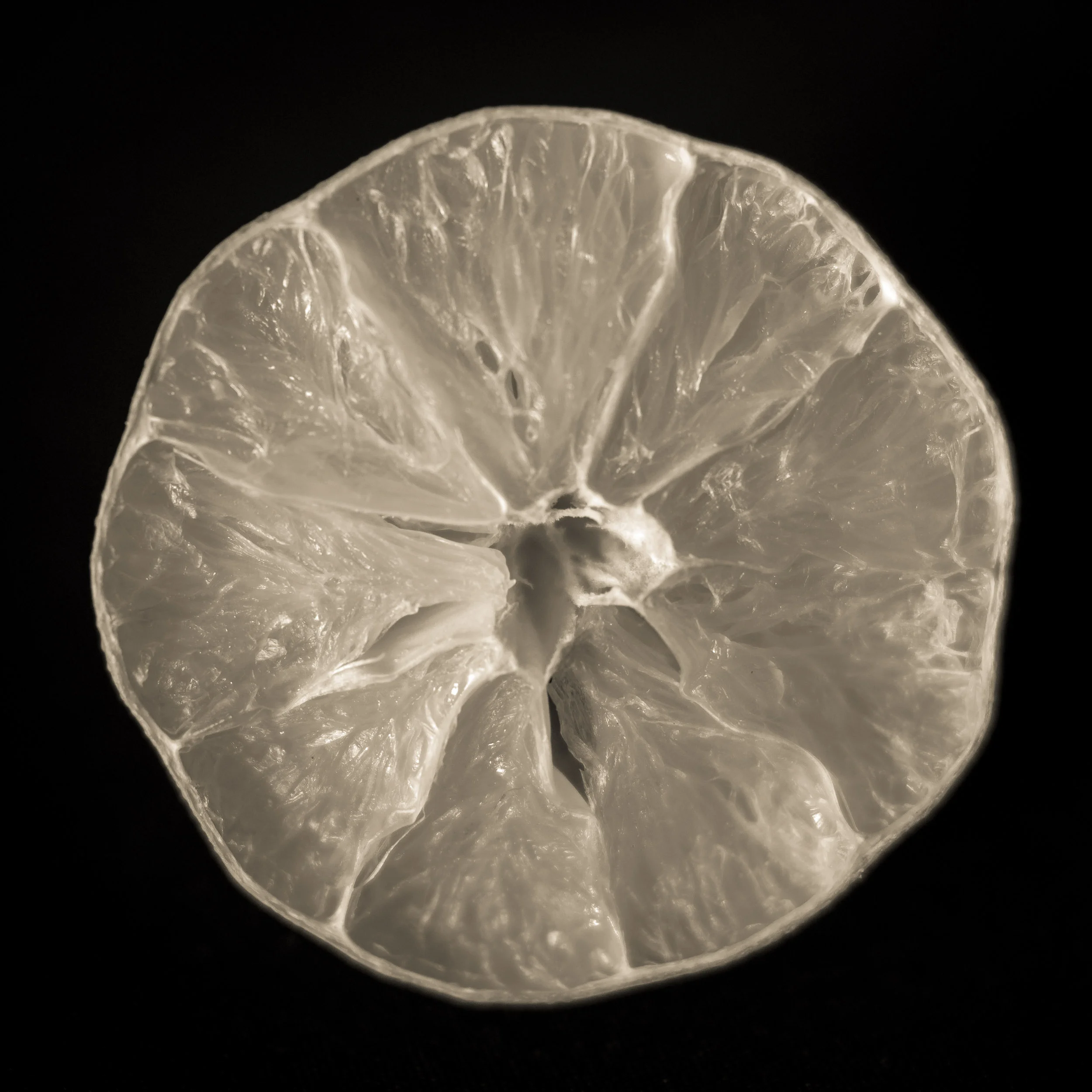 One old lime