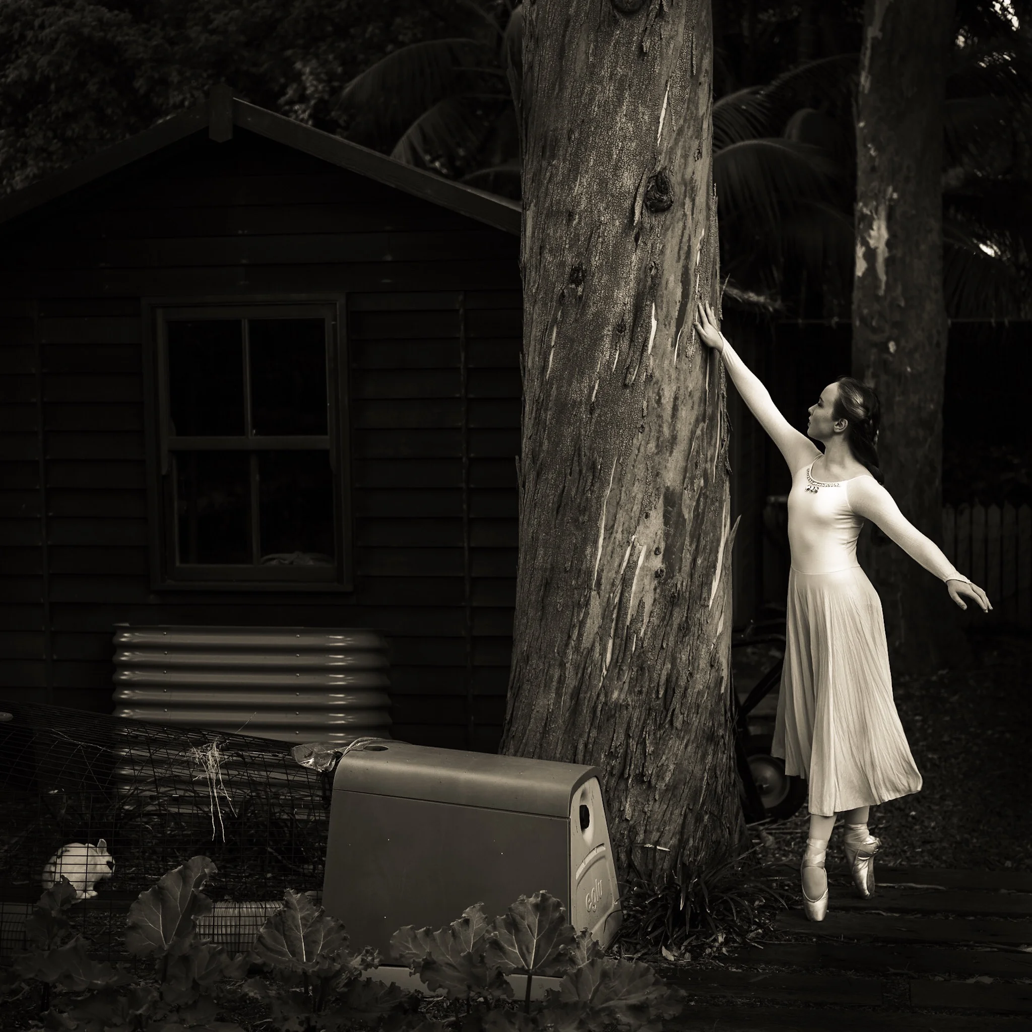 A white dress and carefully placing the dancer against the dark background makes her the Center of interest.