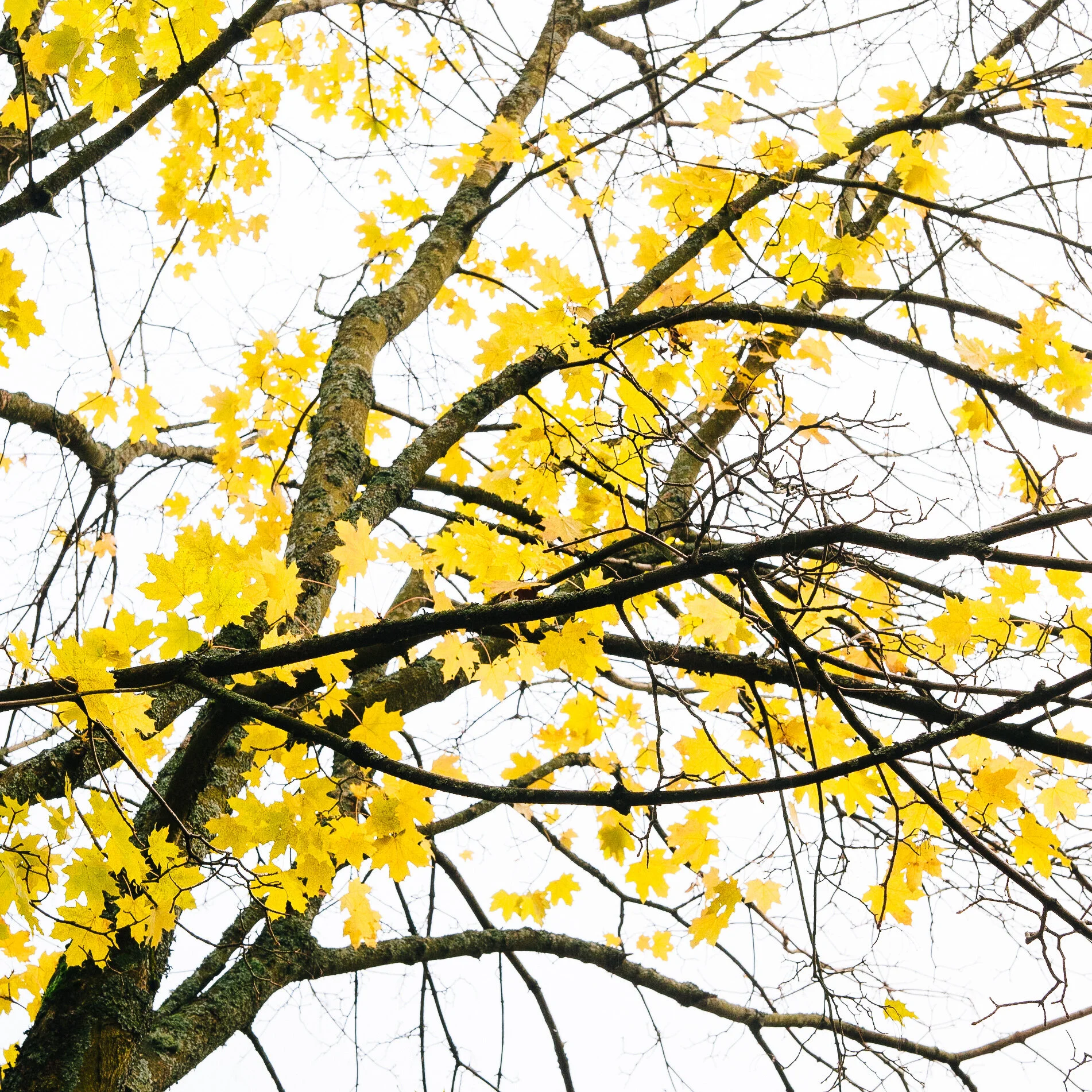 Autumn in the Lake District