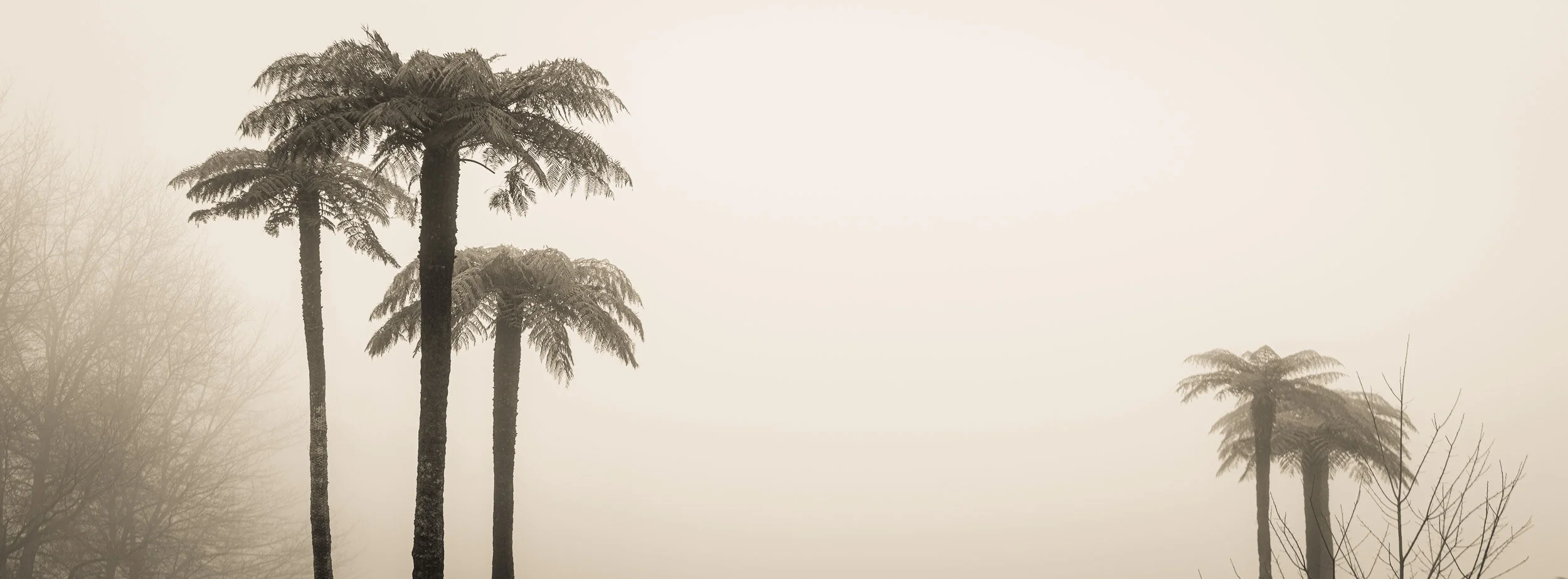 WB1 Introducing Len's Club